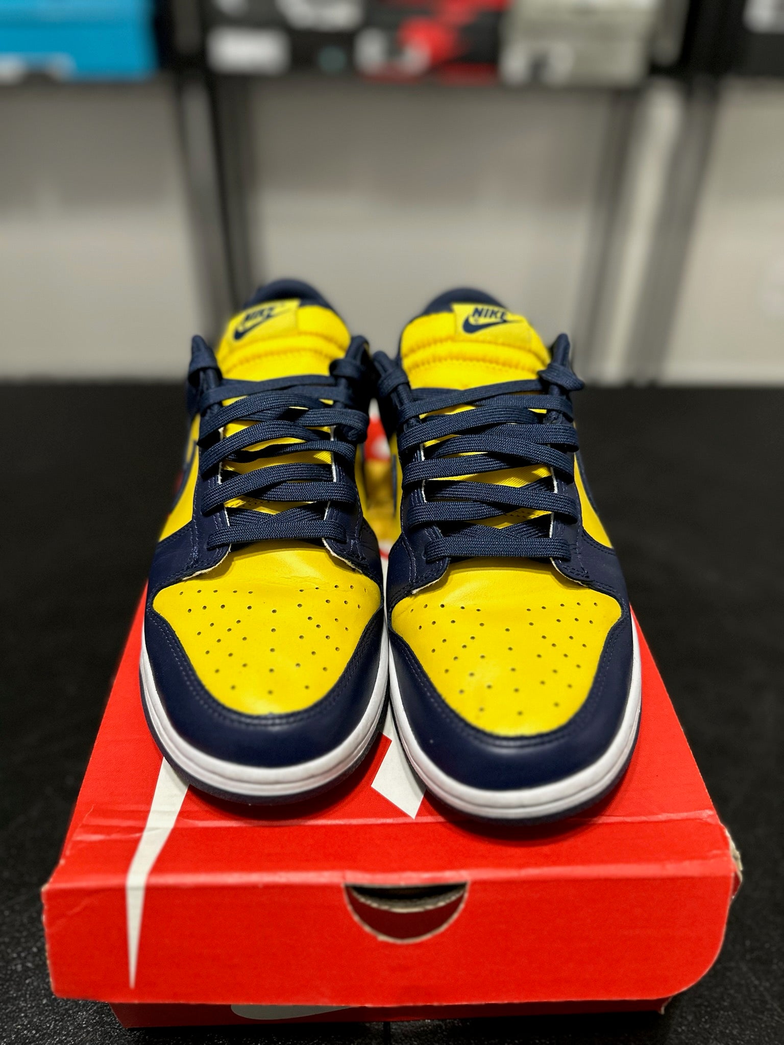 Size 9.5 - Dunk Low Michigan