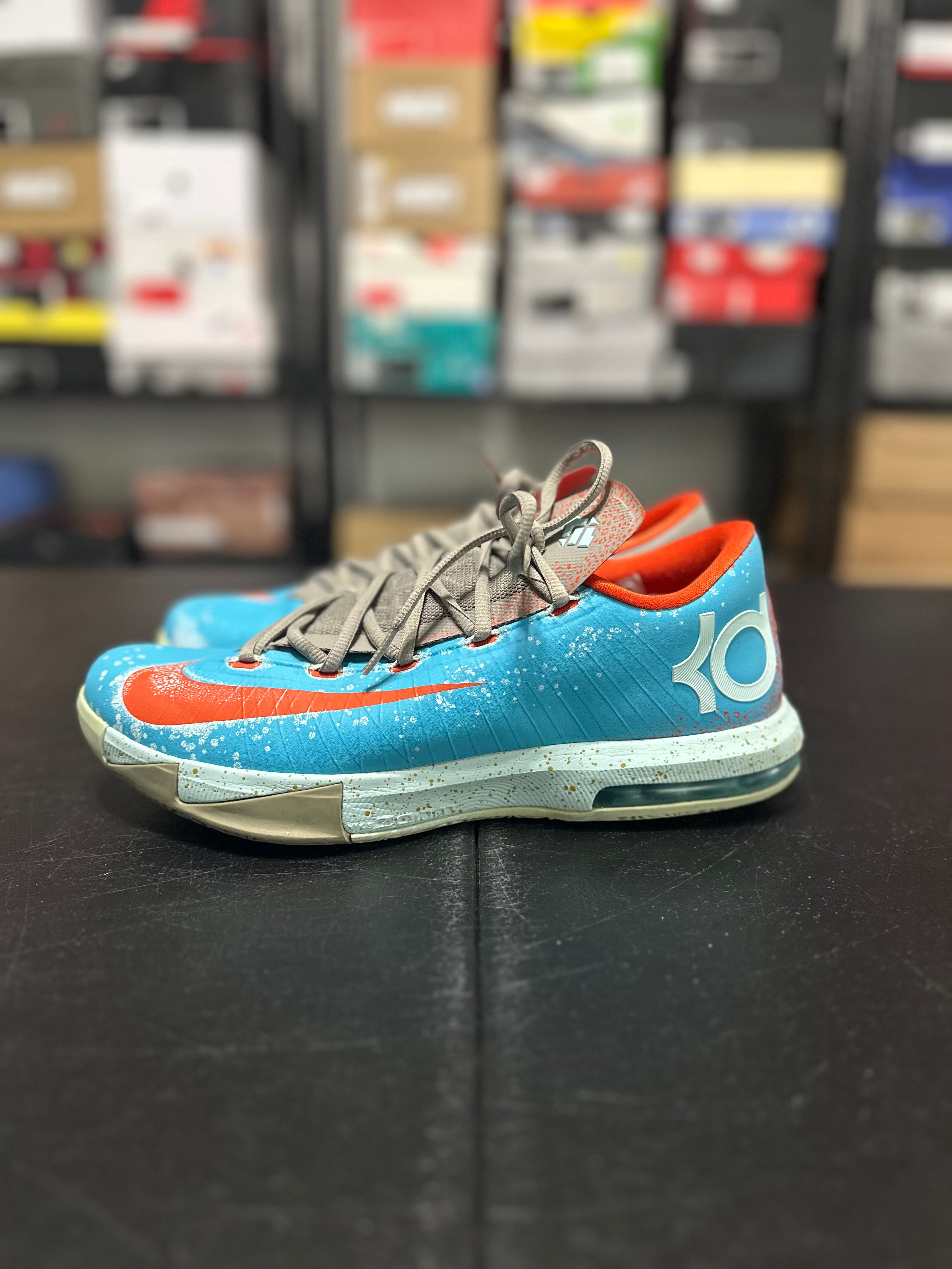 Size 10.5 - KD 6 Maryland blue crab