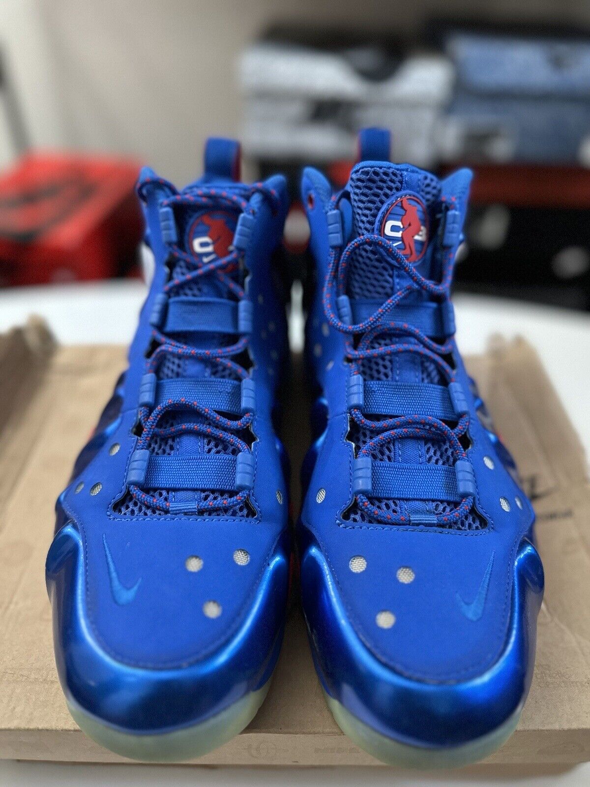 Size 8 - Nike Barkley Posite Max Sixers