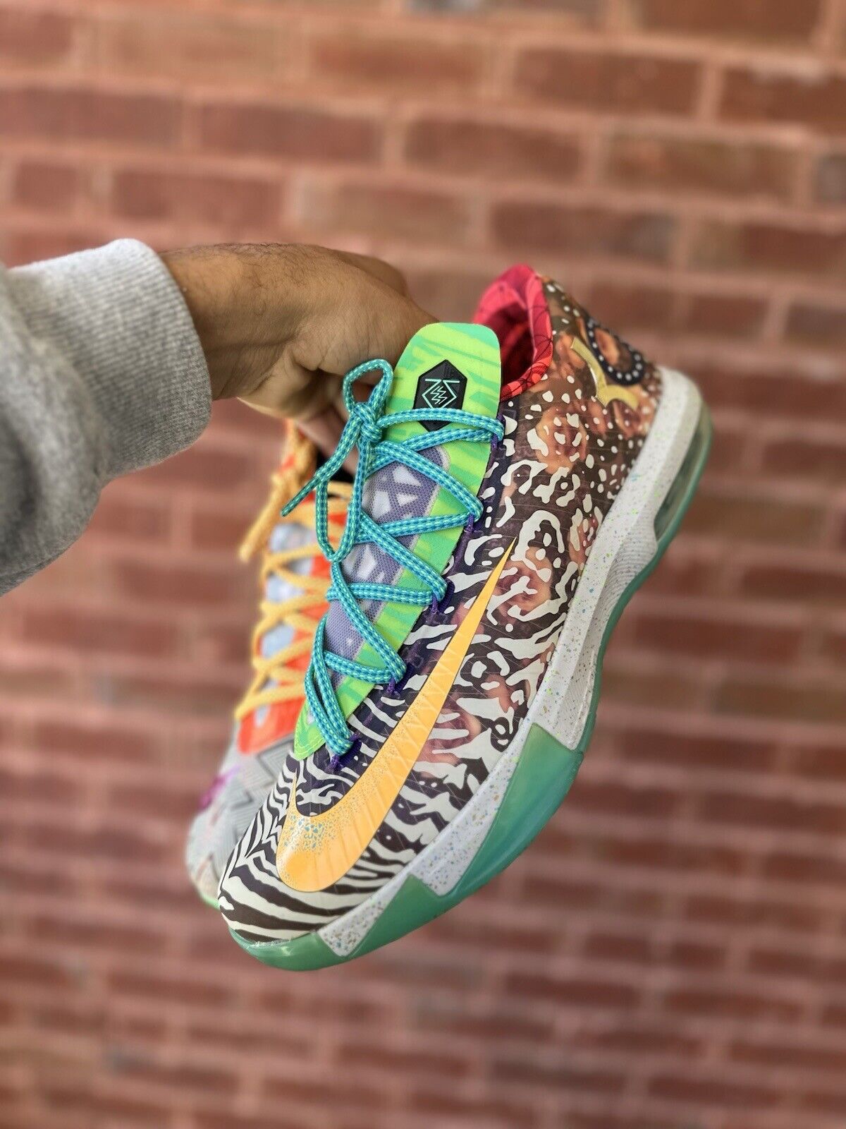 Size 11 - Nike KD 6 What The KD