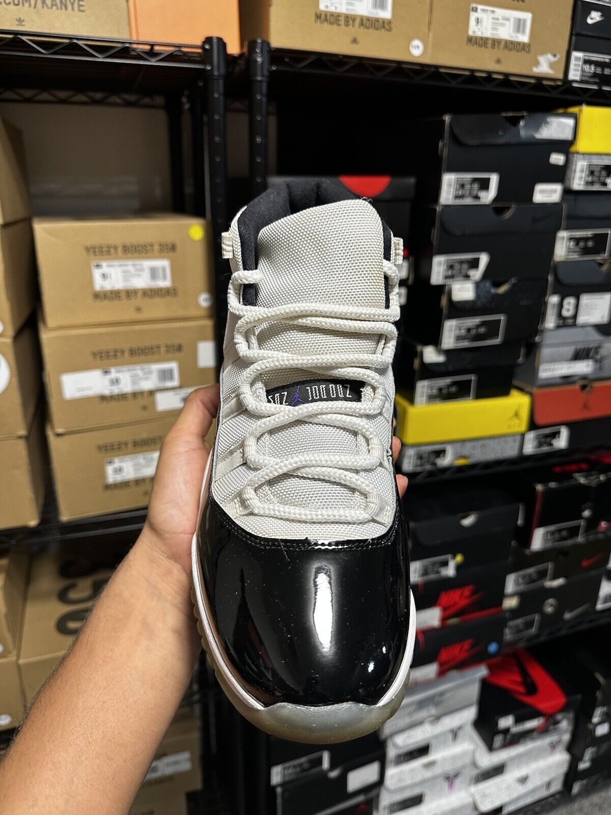 Size 11 - Jordan 11 Retro High Concord