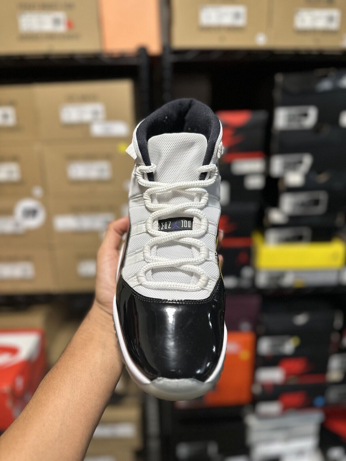 Size 11 - Jordan 11 Retro High Concord