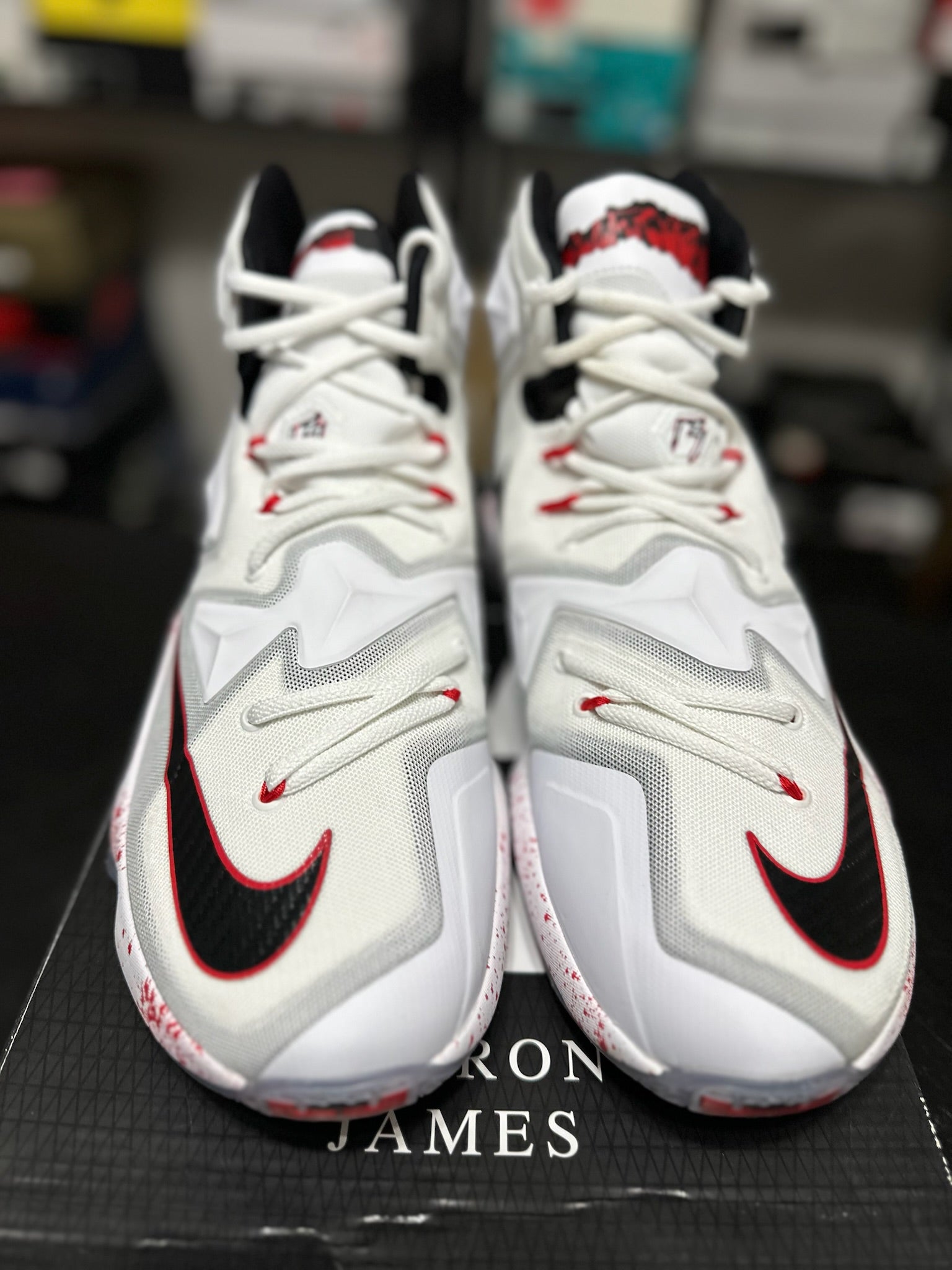 Size 12 - LeBron 13 Friday the 13th DS