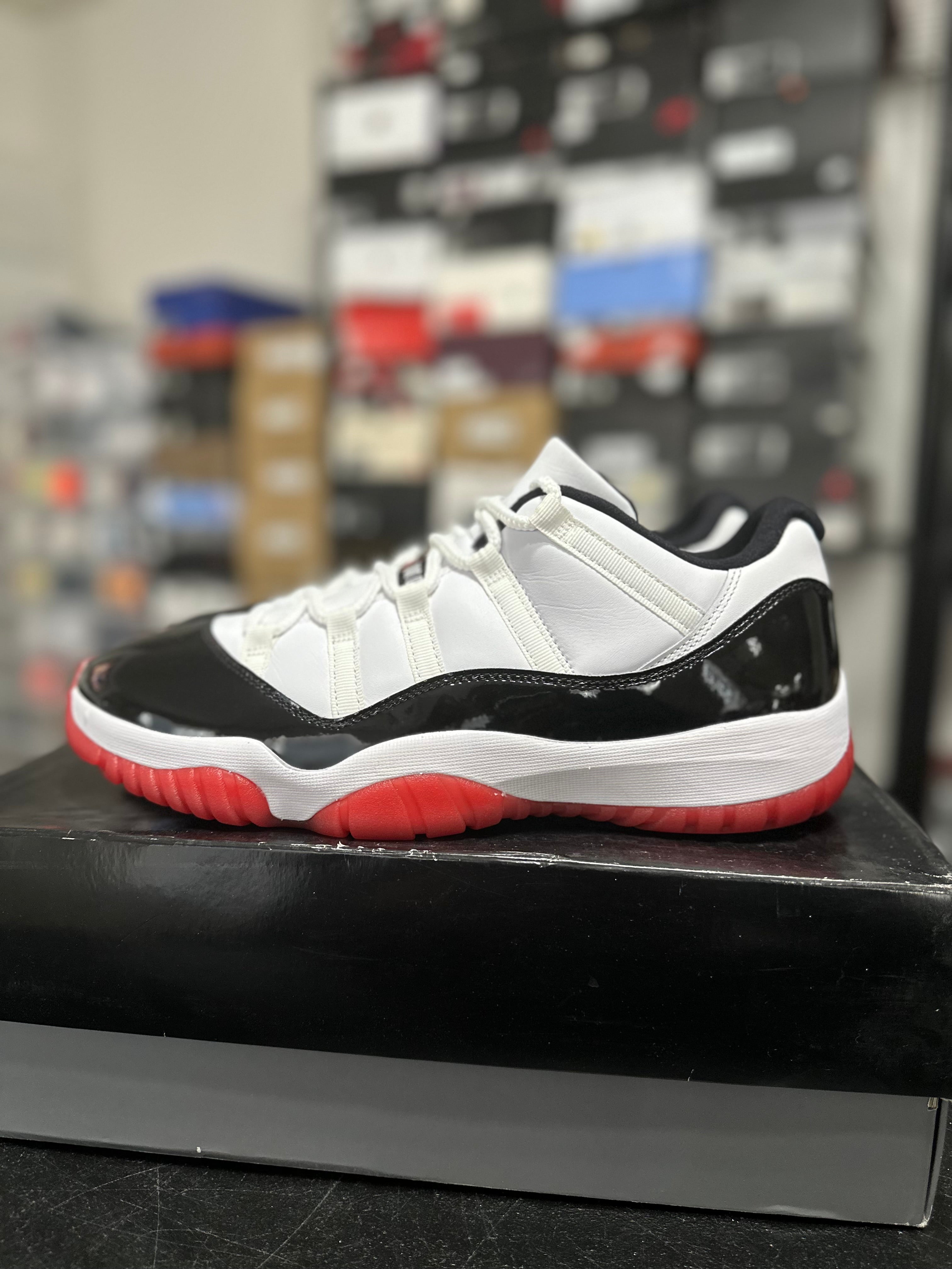 Size 12 - J11 low concord bred