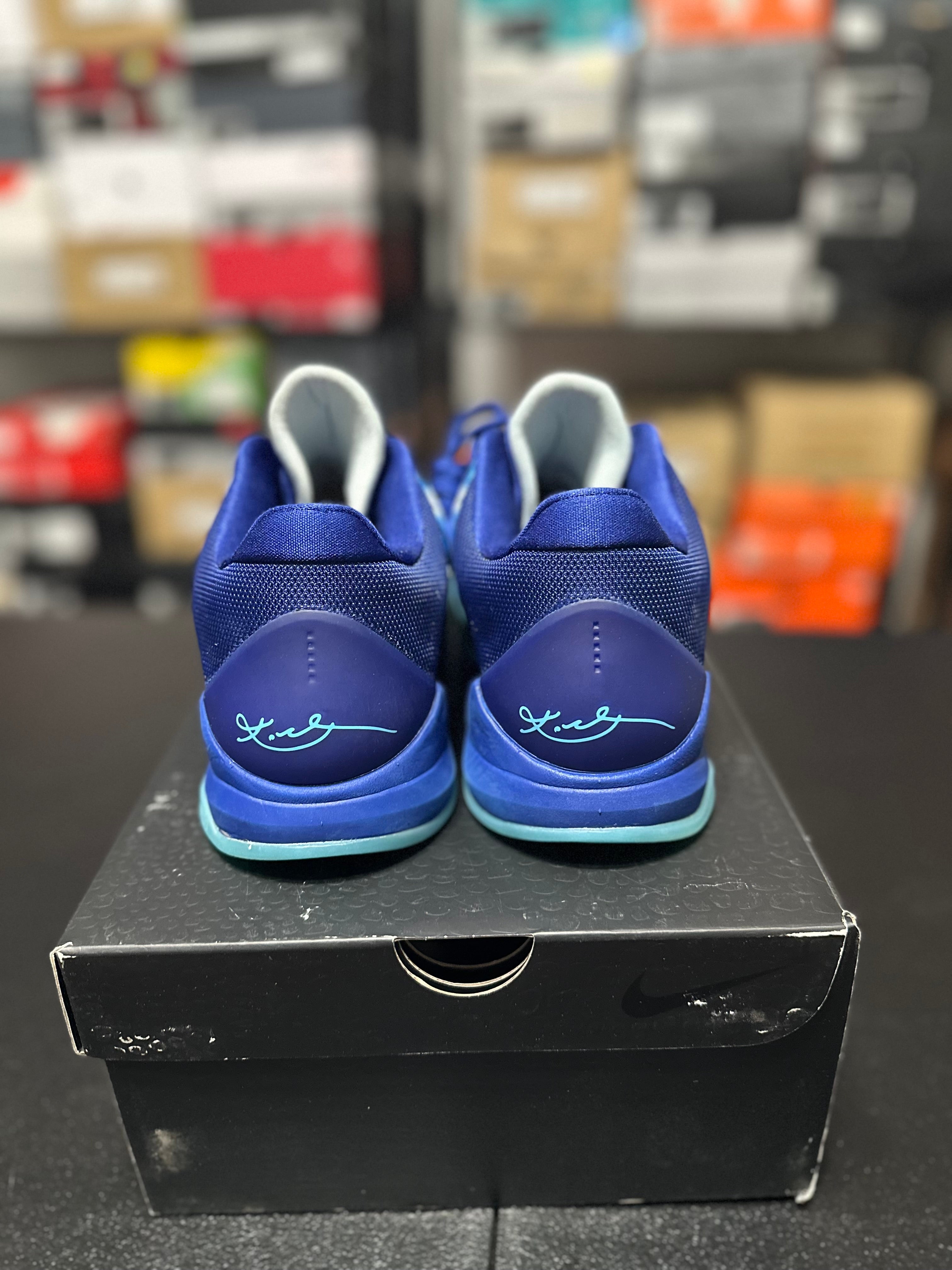 Size 10.5 - Kobe 5 xray