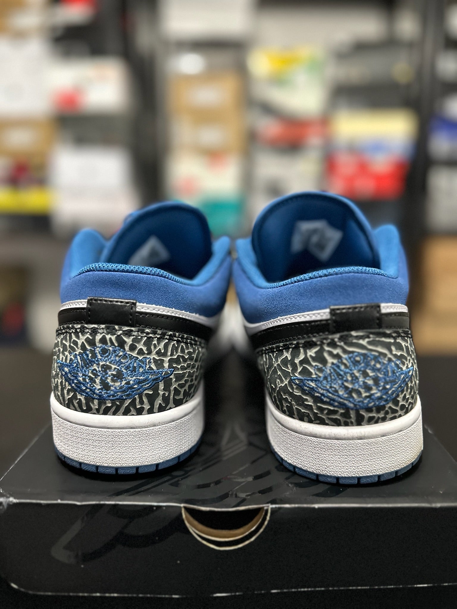 Size 13 - J1 Low True Blue