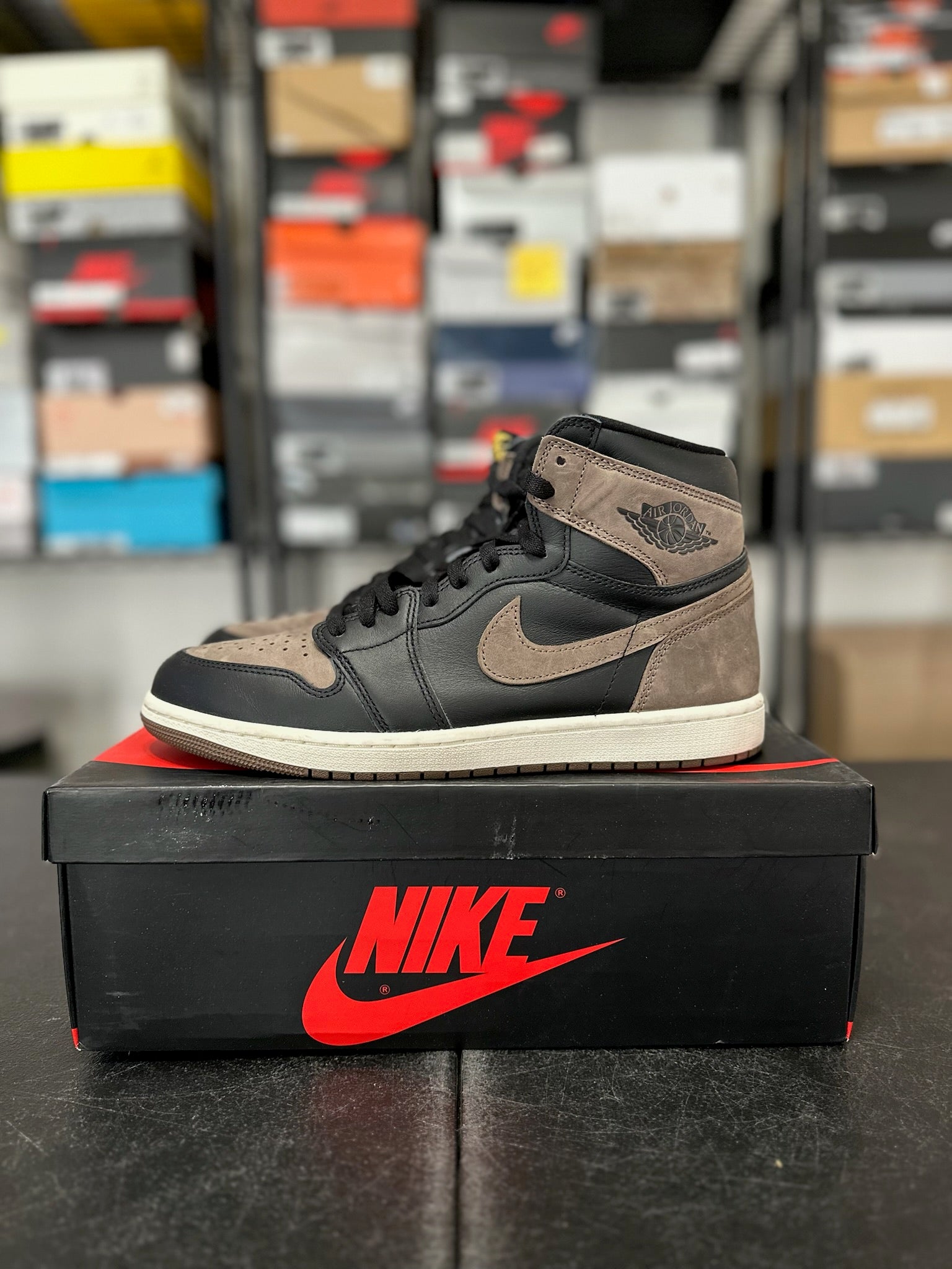 Size 11 - J1 Palomino