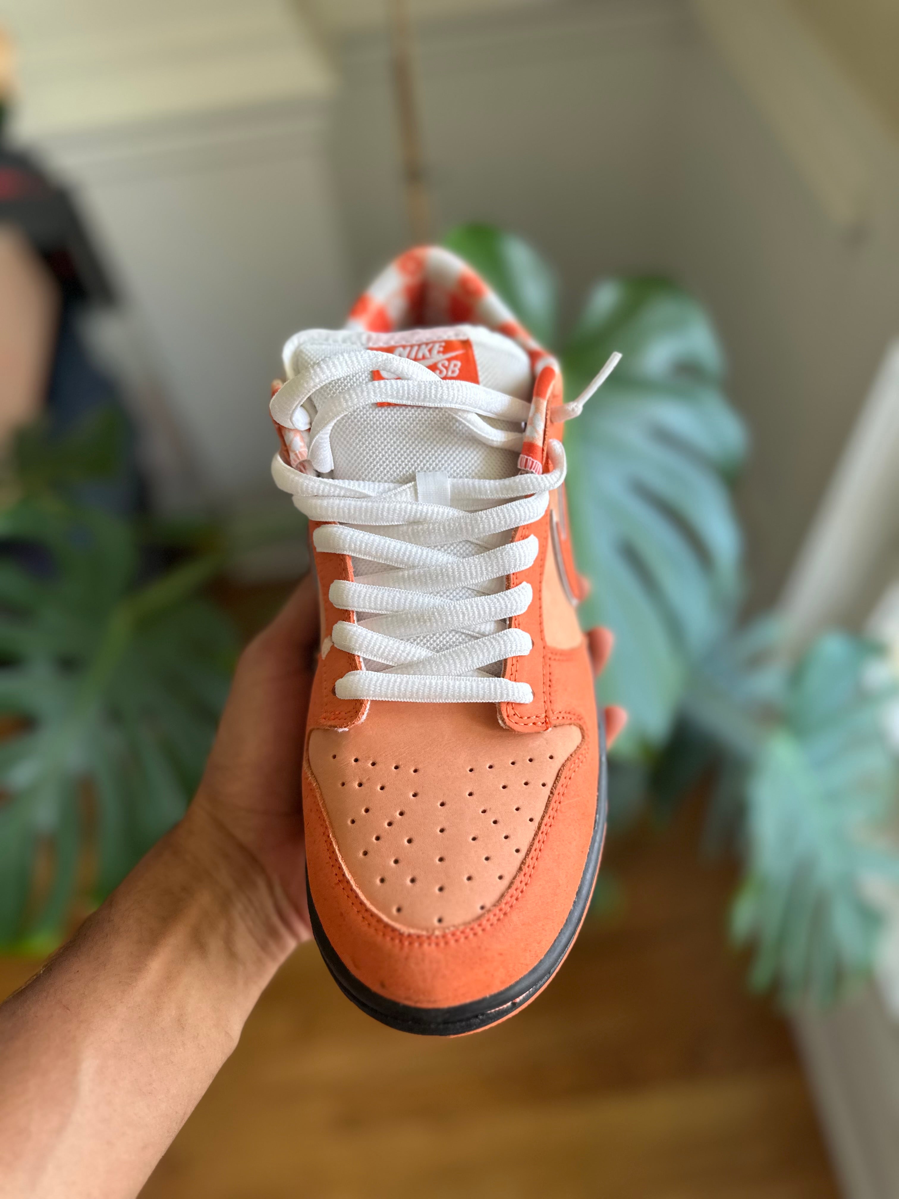 Size 9.5 - Dunk low orange lobster