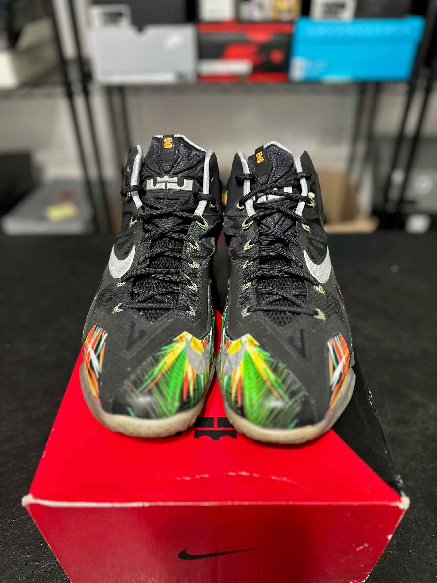 Size 10.5 - LeBron 11 Everglades