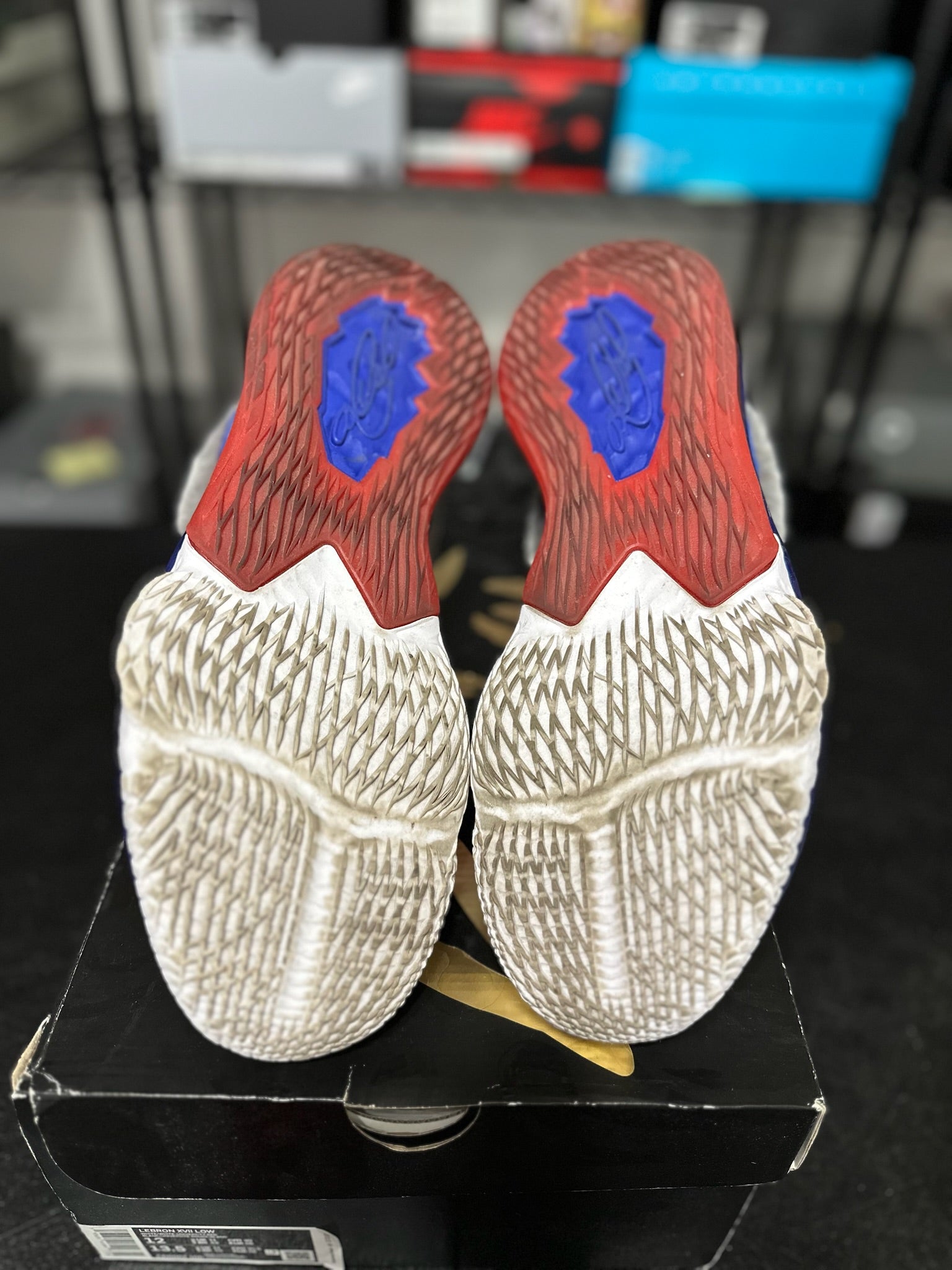 Size 12 - LeBron 17 Low Tune Squad