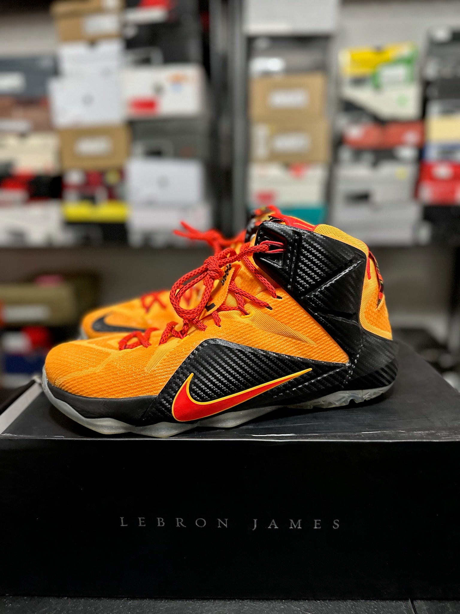 Size 12 - LeBron 12 Witness