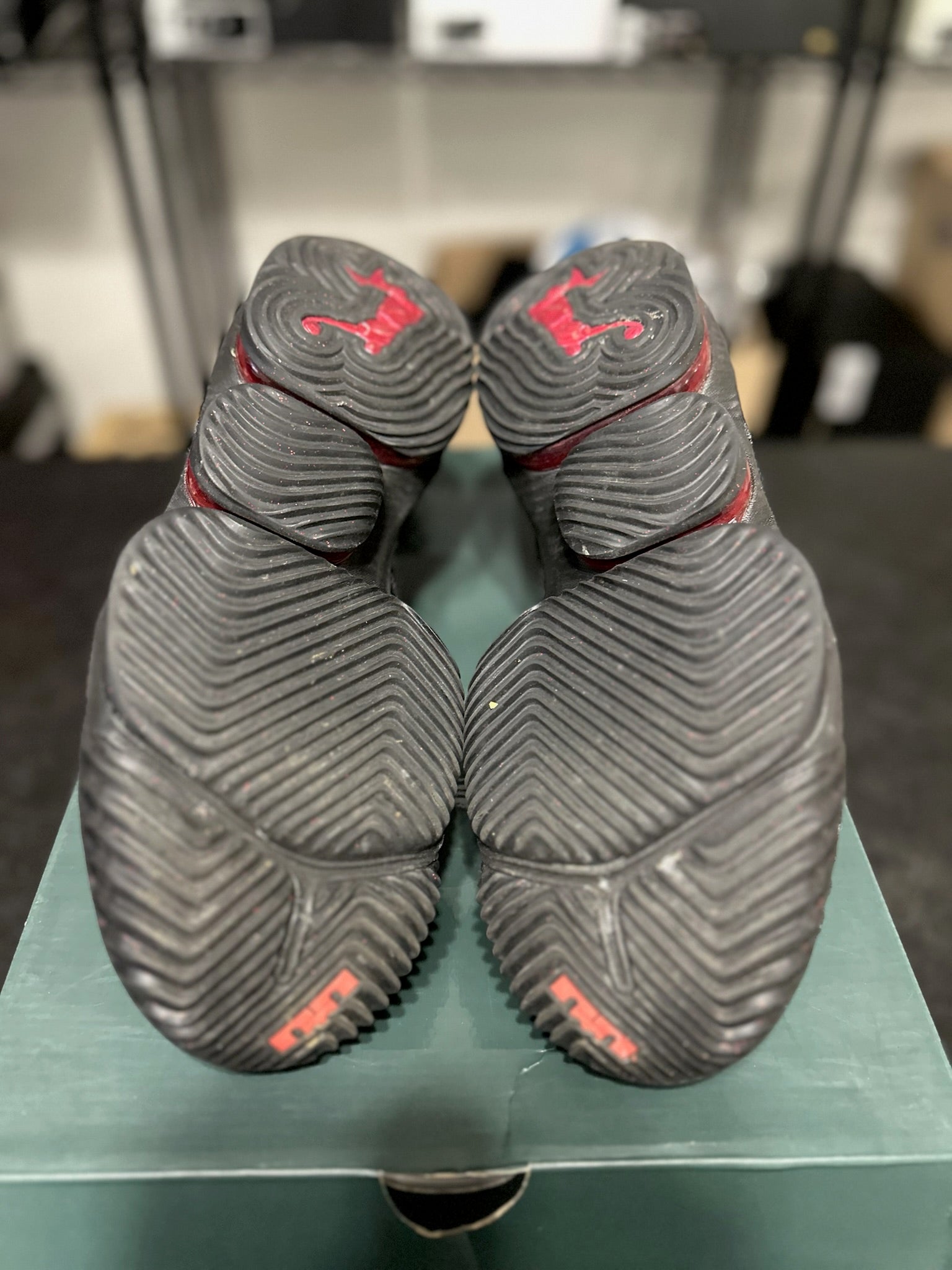 Size 10.5 - LeBron 16 Fresh Bred