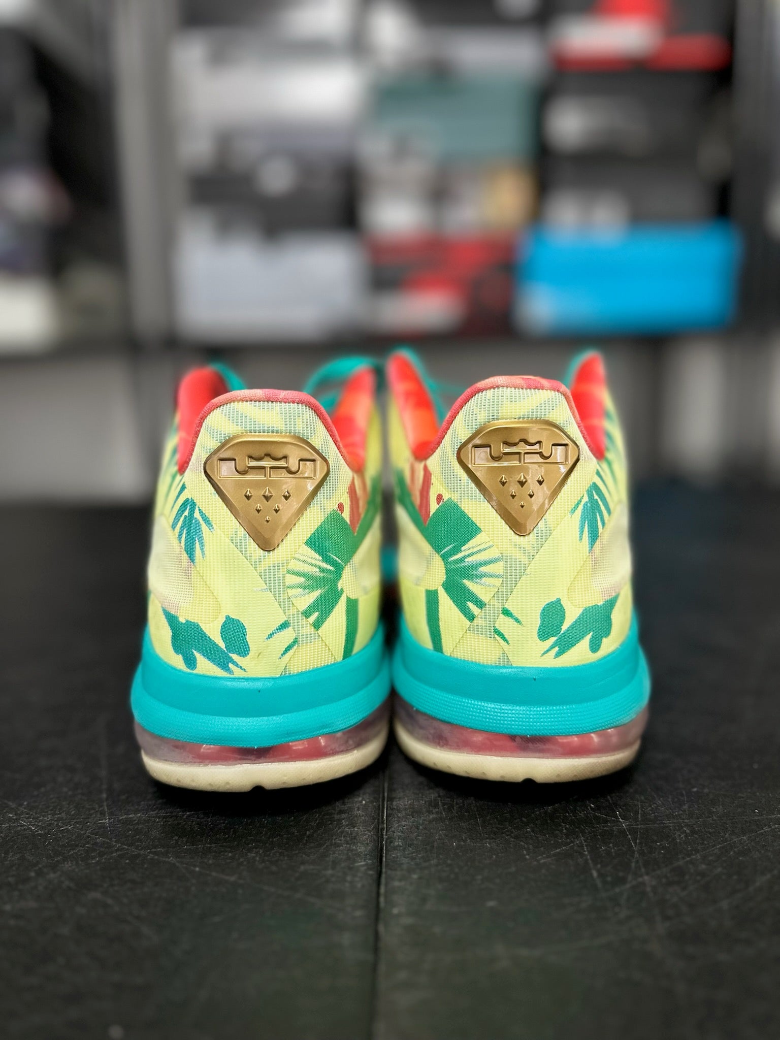 Size 11 - LeBron 9 Low LeBronald Palmer