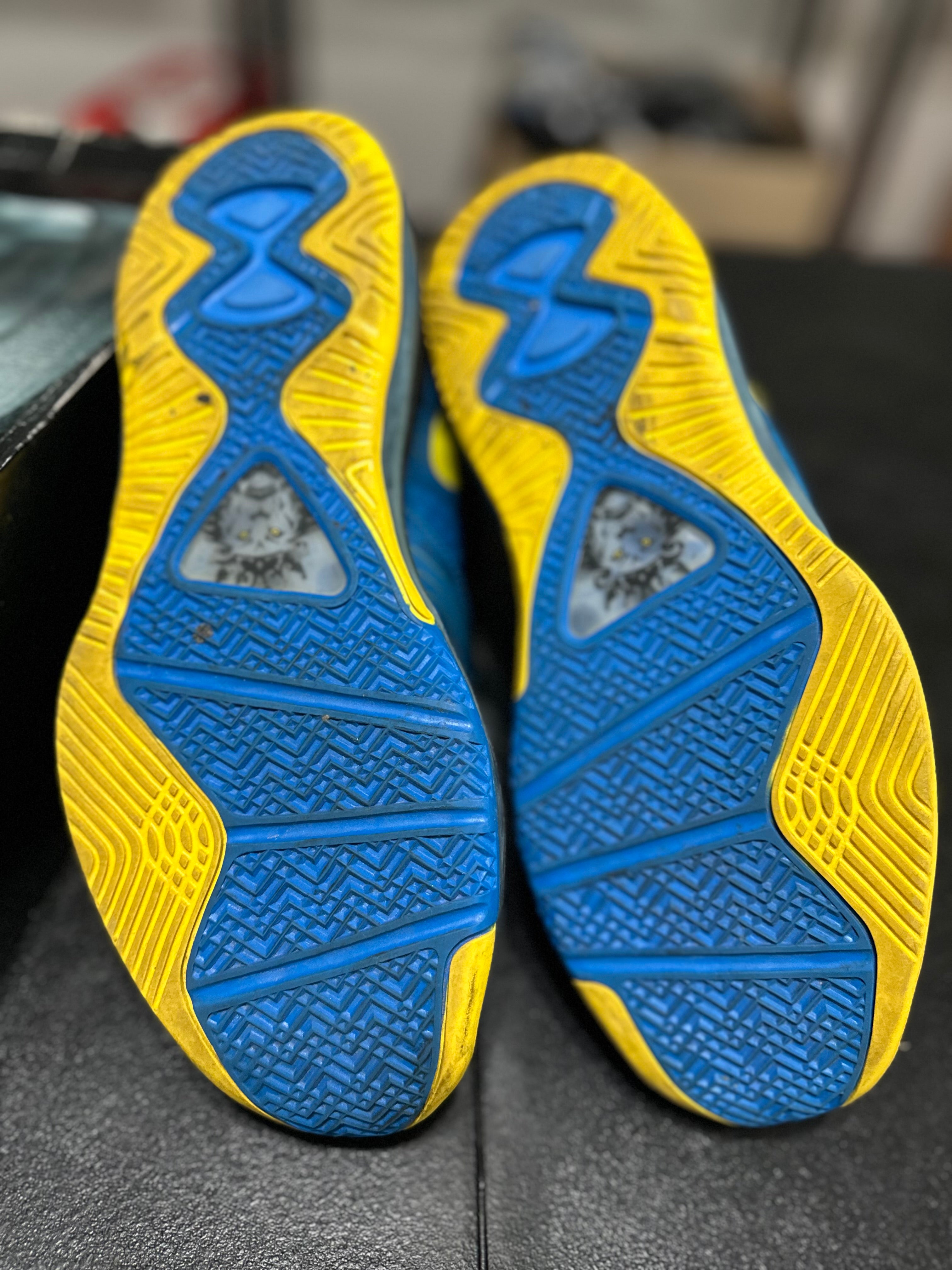 Size 9 - LeBron 8 entourage