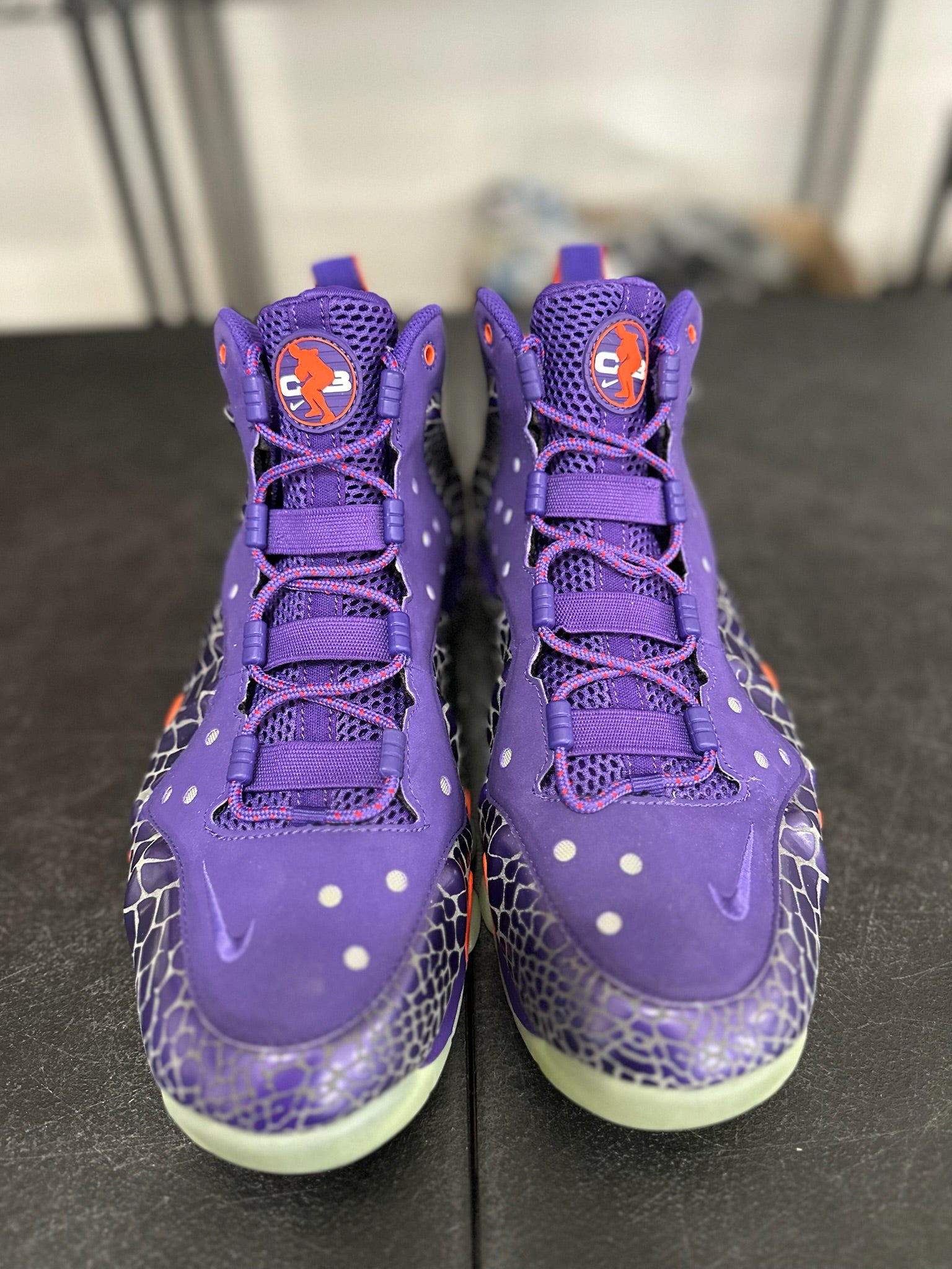Size 11 - Barkley Posite Max Suns