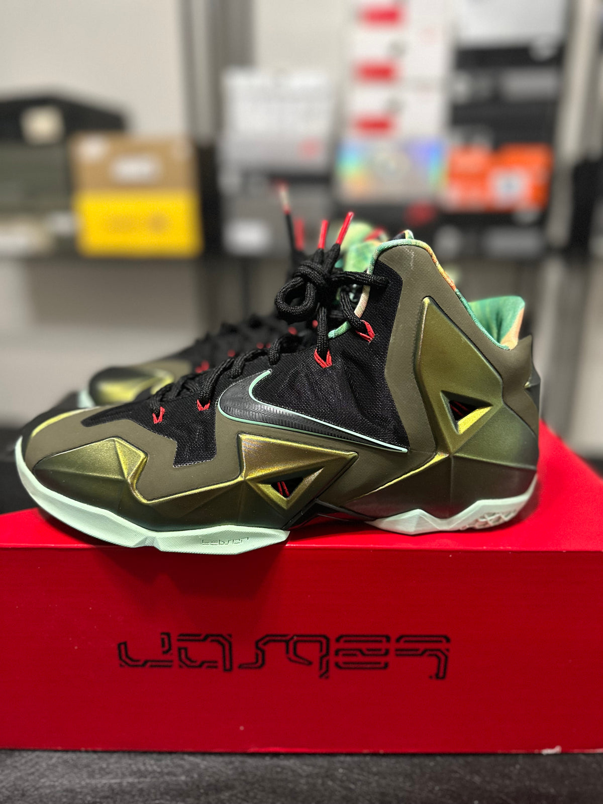 Size 10 - LeBron 11 kings pride