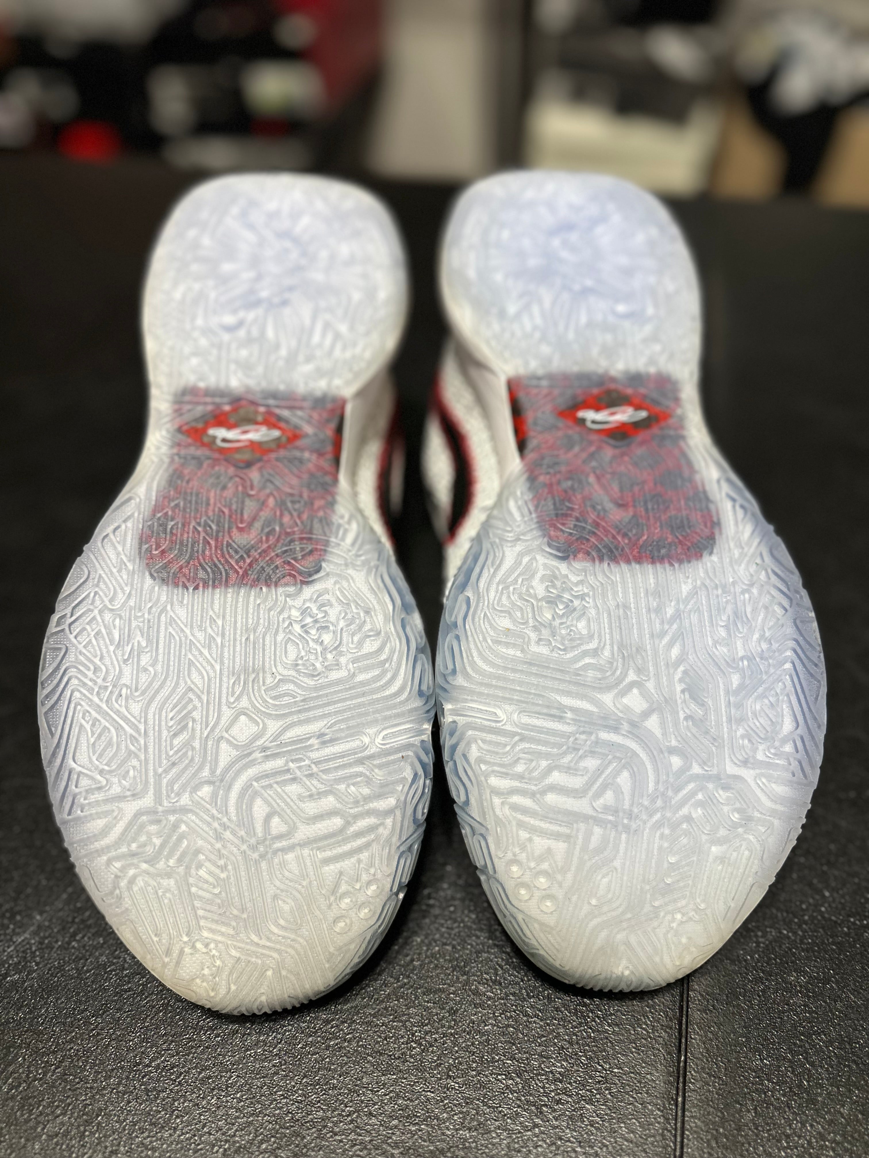 Size 12 - LeBron 20 the debut