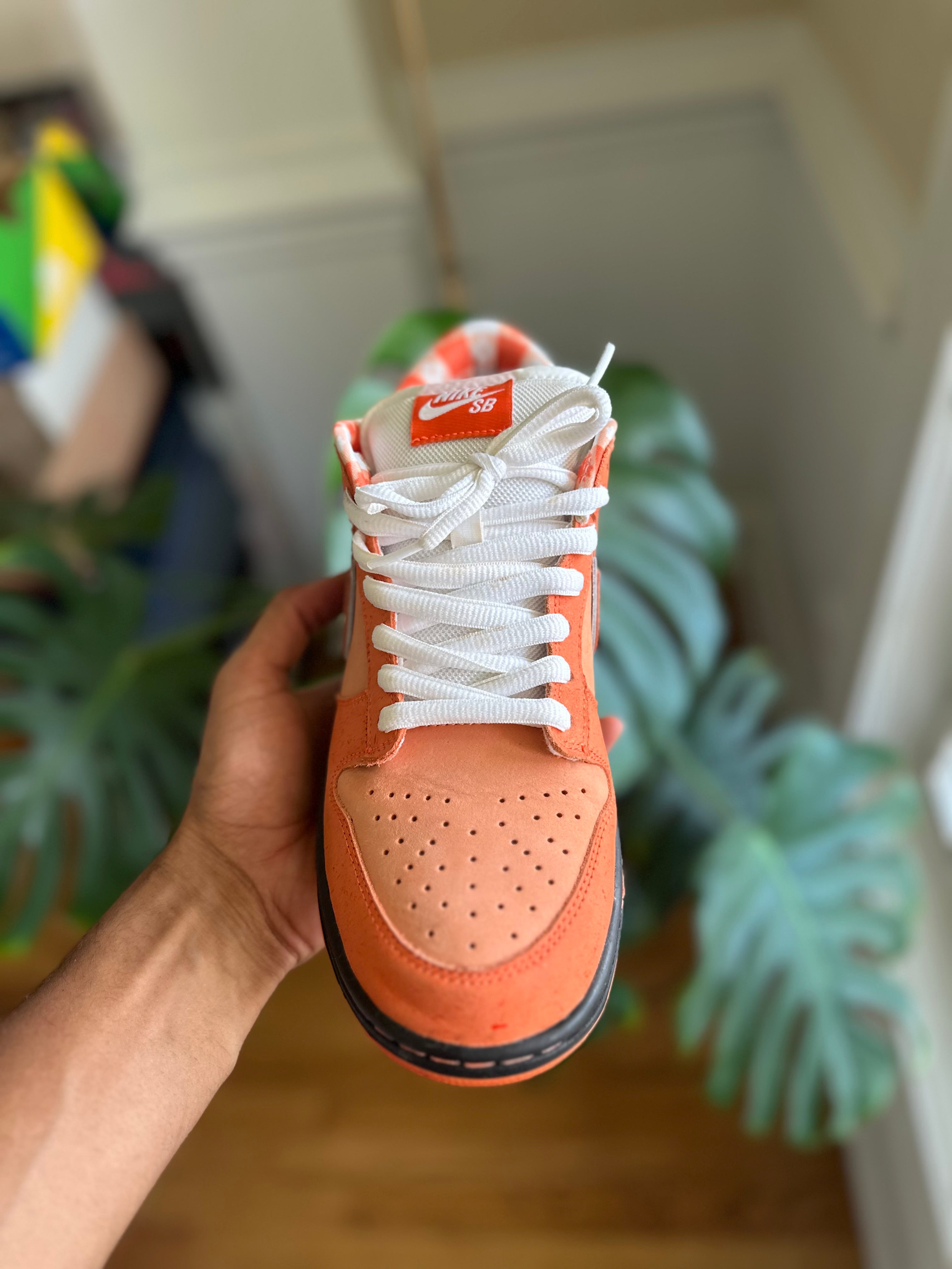 Size 9.5 - Dunk low orange lobster