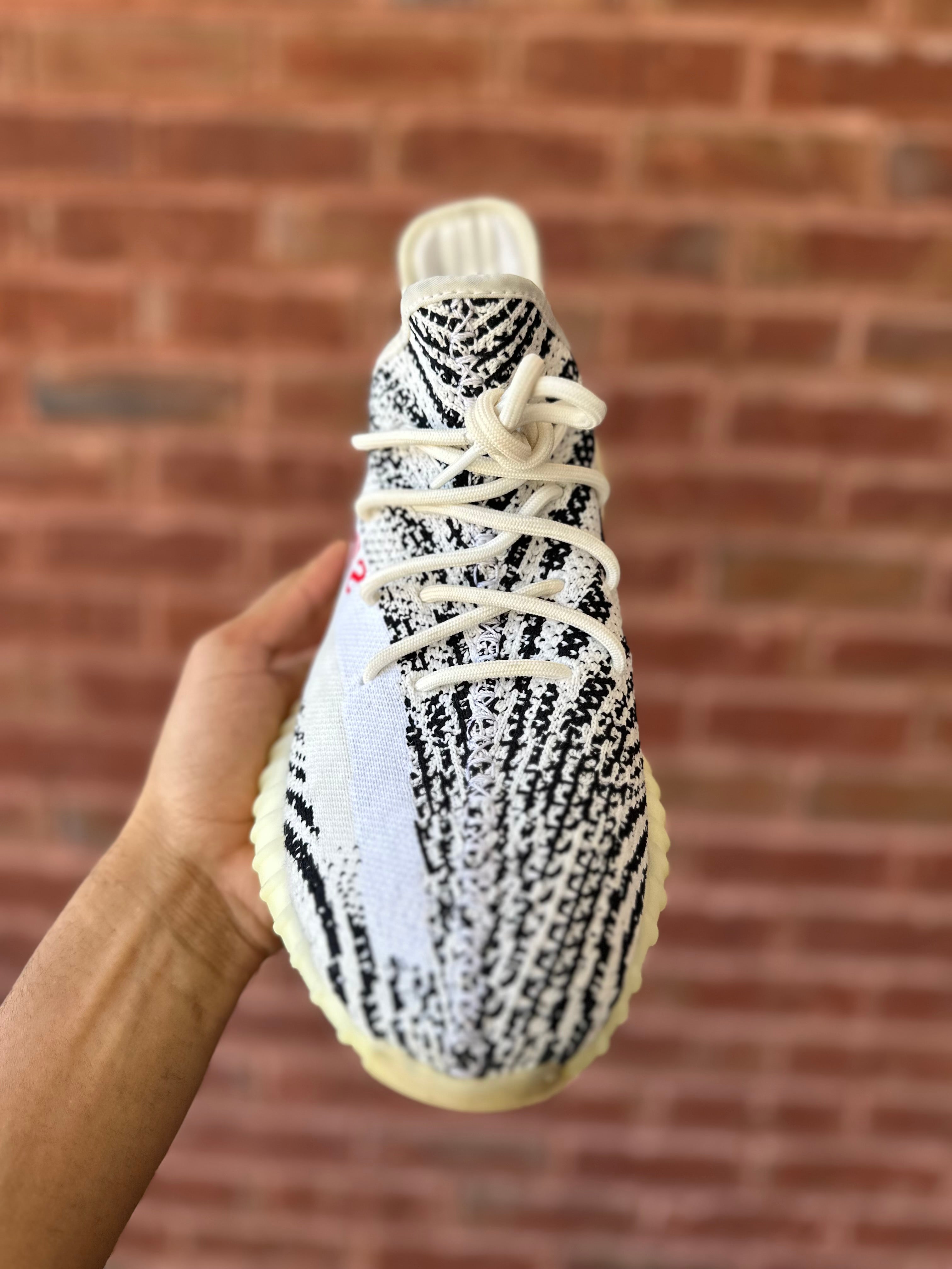 Size 12 - YZY 350 Zebra