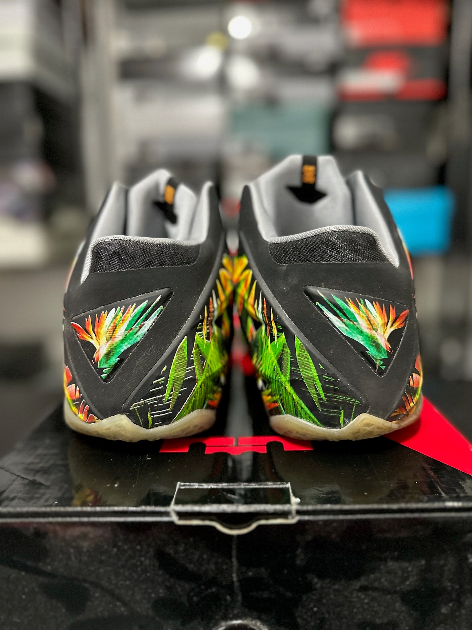 Size 10.5 - LeBron 11 Everglades