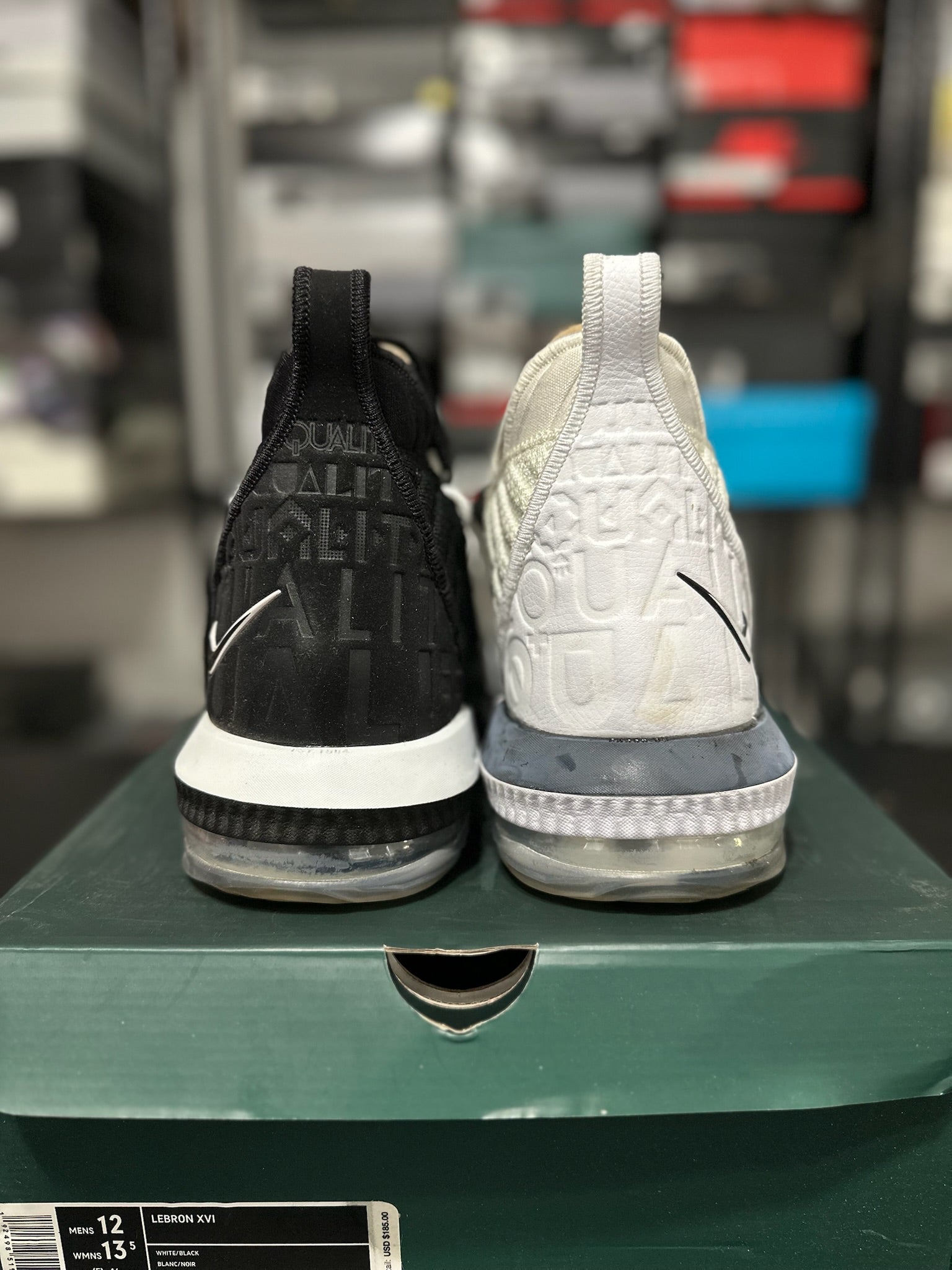 Size 12 - LeBron 16 Equality