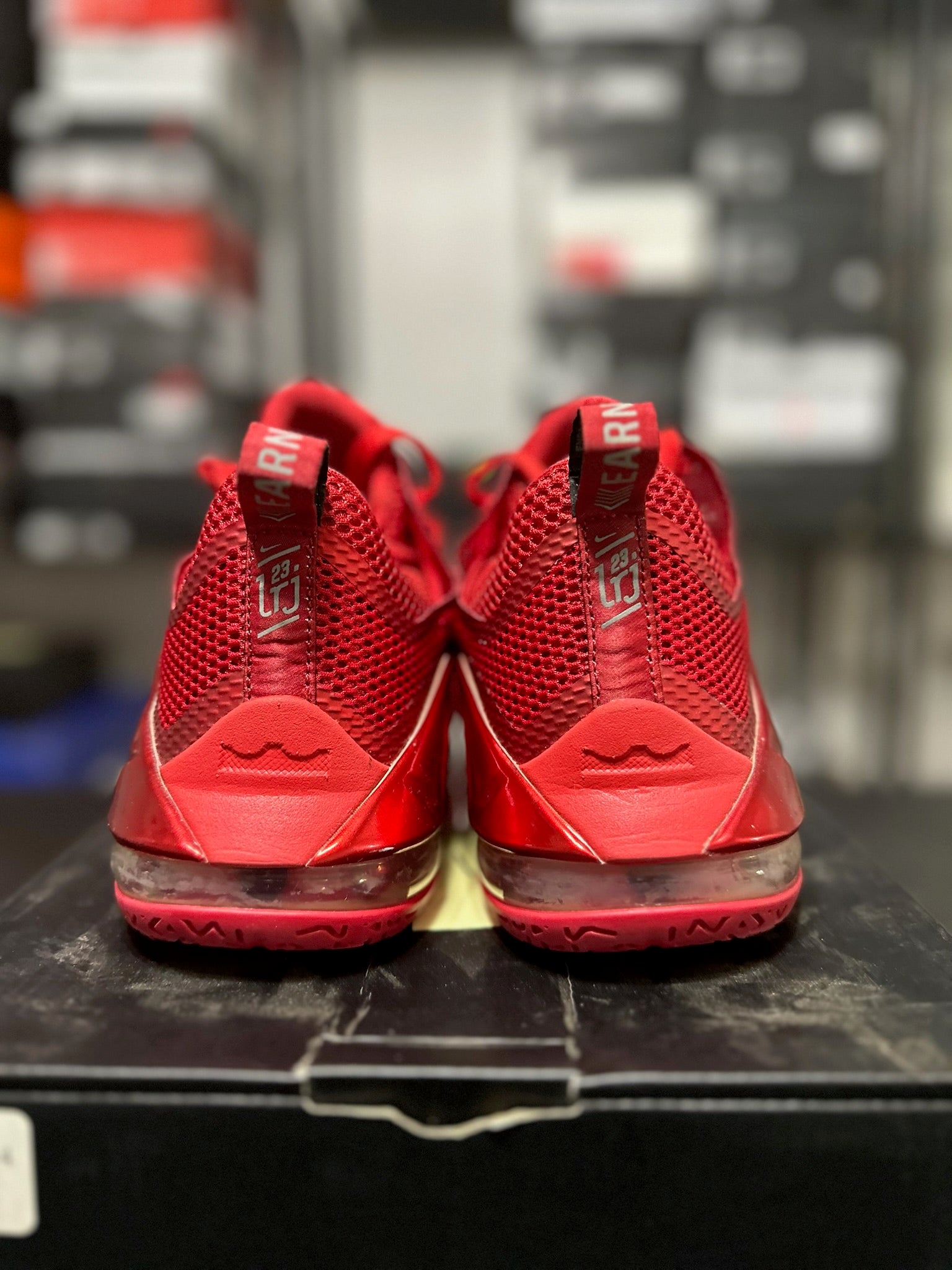 Size 10.5 - LeBron 12 Low University Red