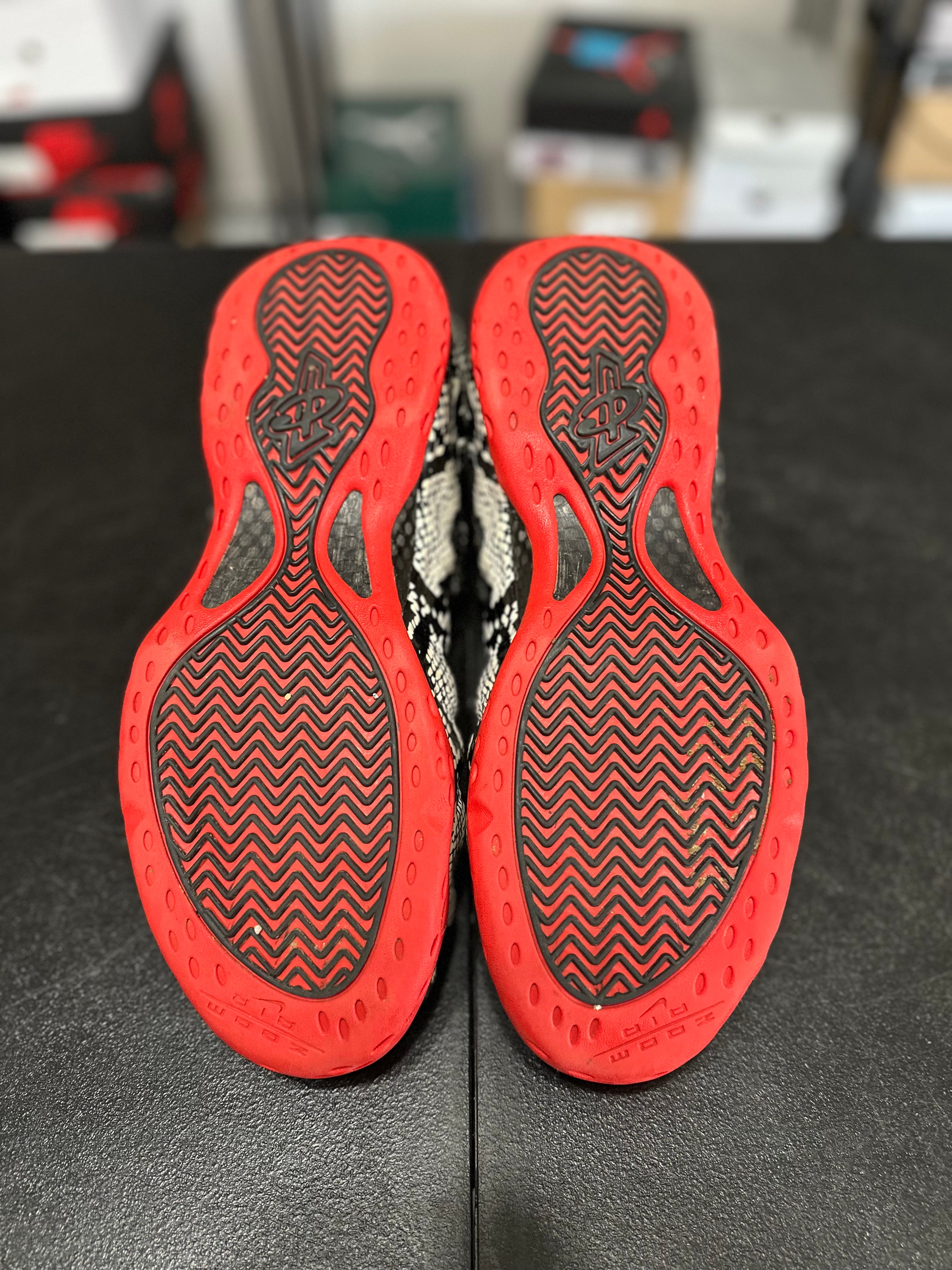 Size 12 - Foamposite albino snakeskin