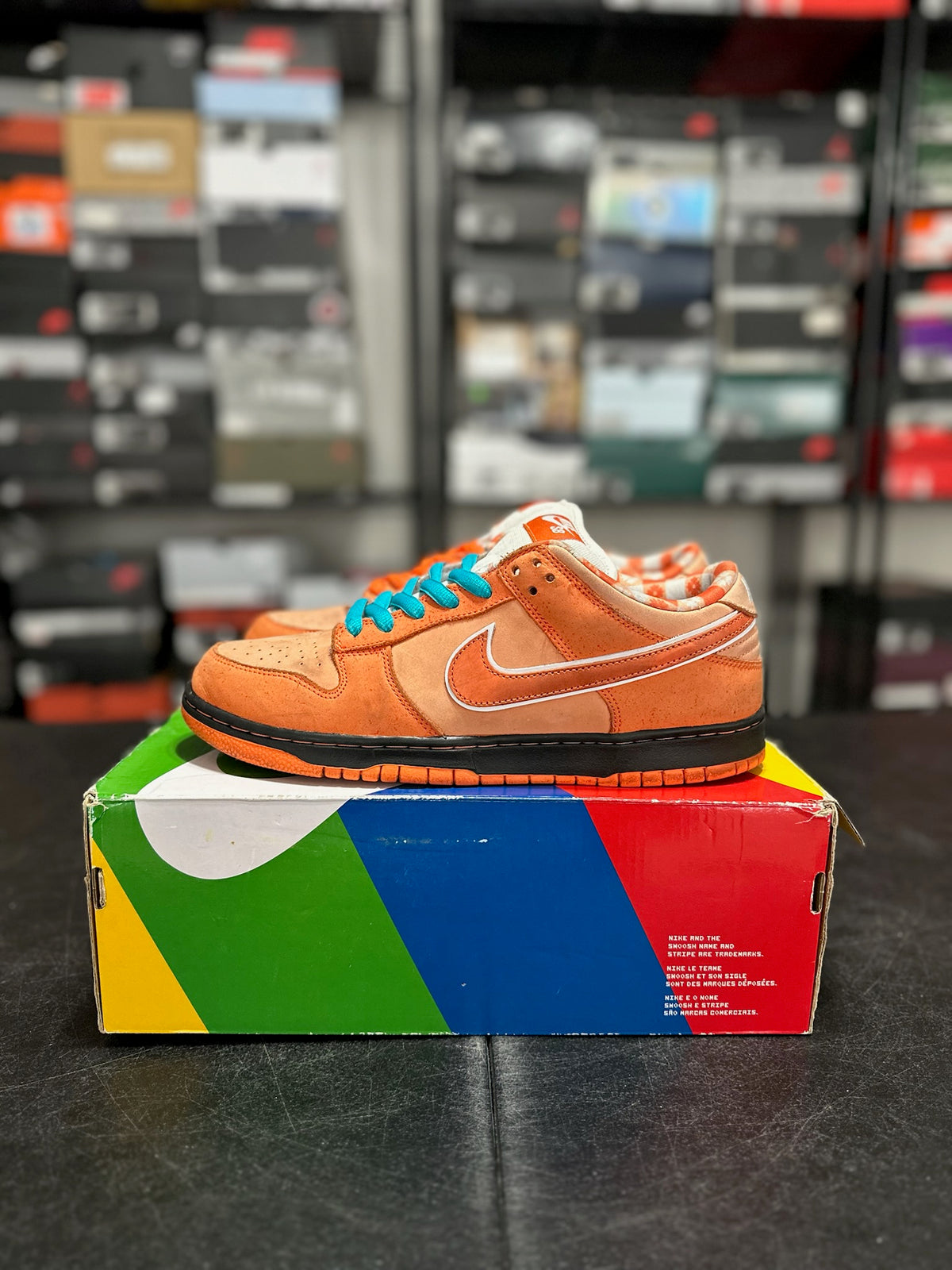 Size 10.5 - sb dunk low concept orange lobster