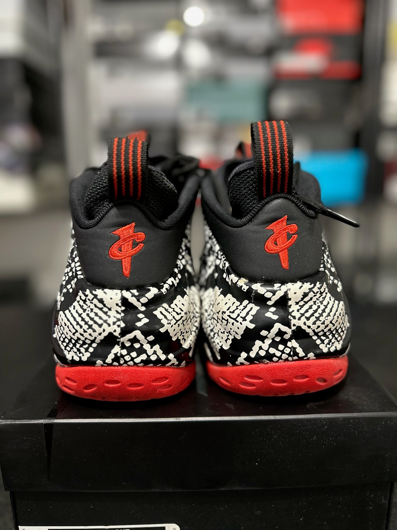 Size 12 - Foamposite 1 Albino Snakeskin