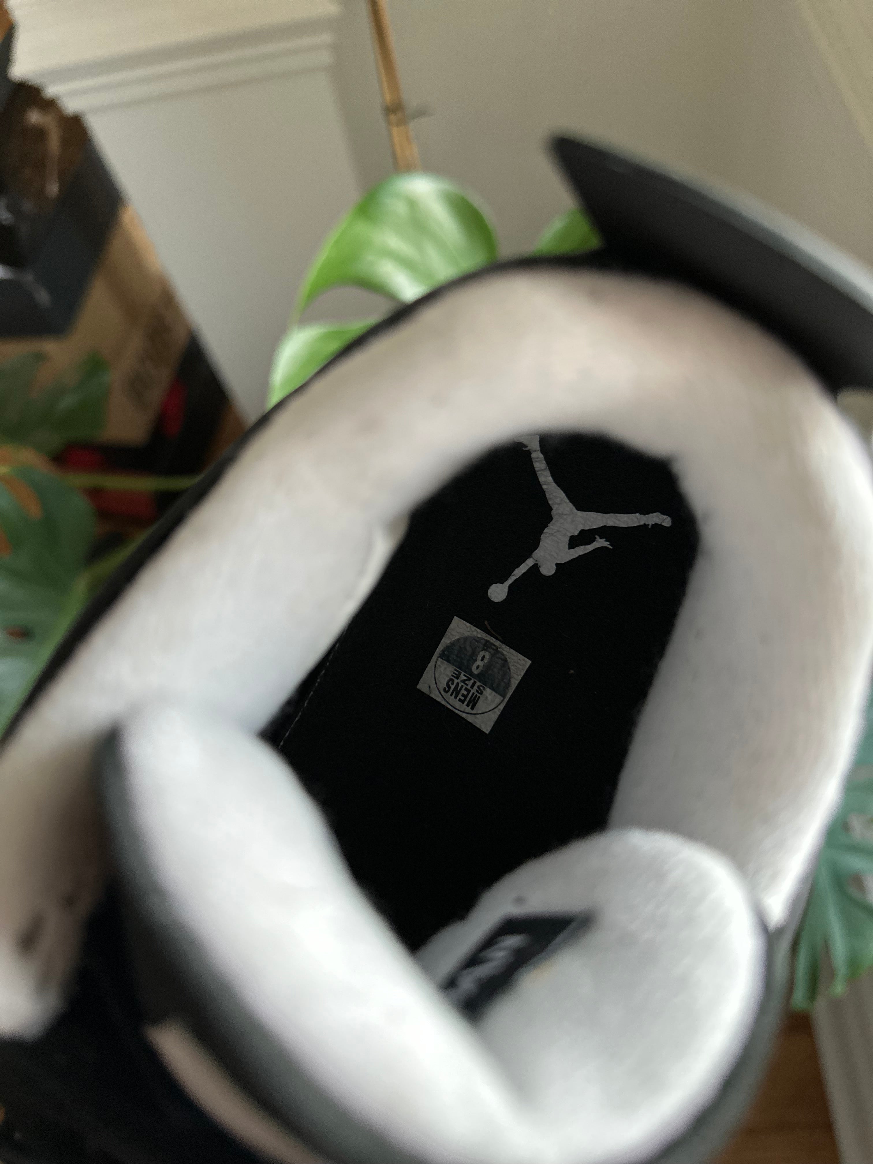 Size 8 - J4 fear
