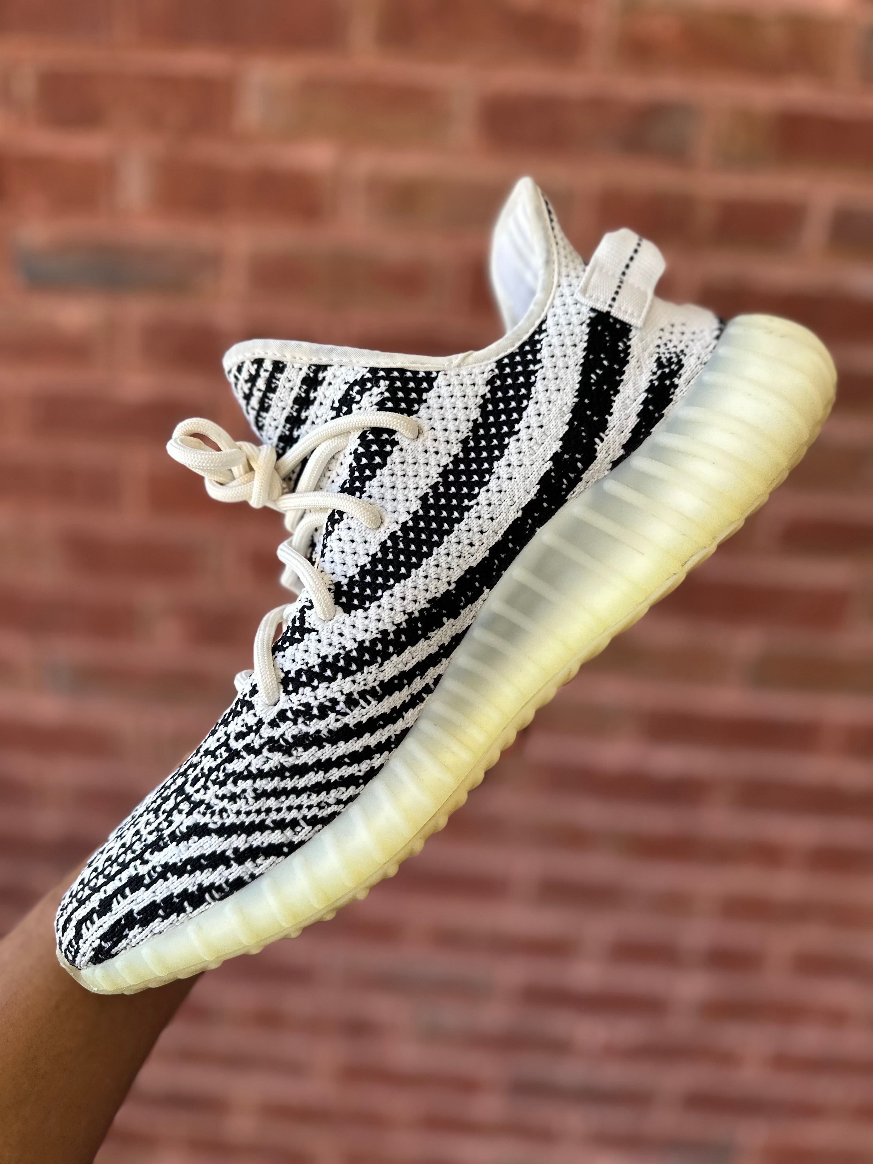 Size 12 - YZY 350 Zebra