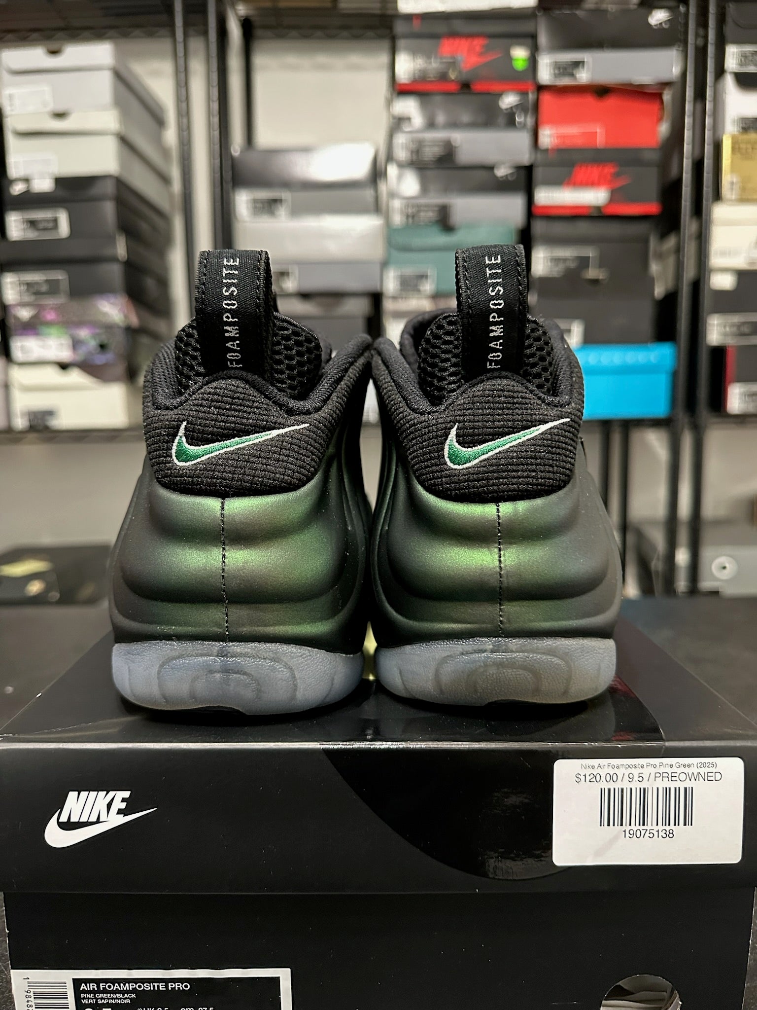 Size 9.5 - Foamposite Pro Pine Green