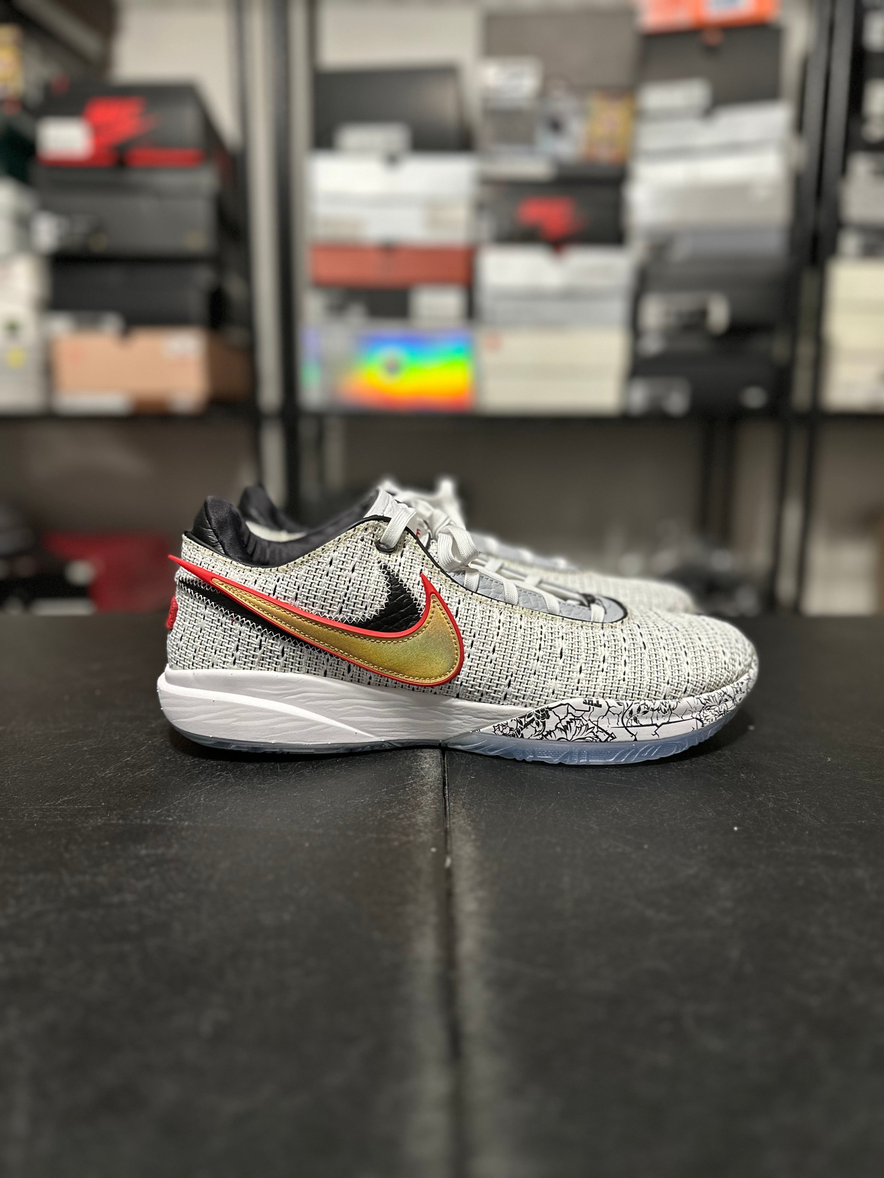 Size 12 - LeBron 20 the debut