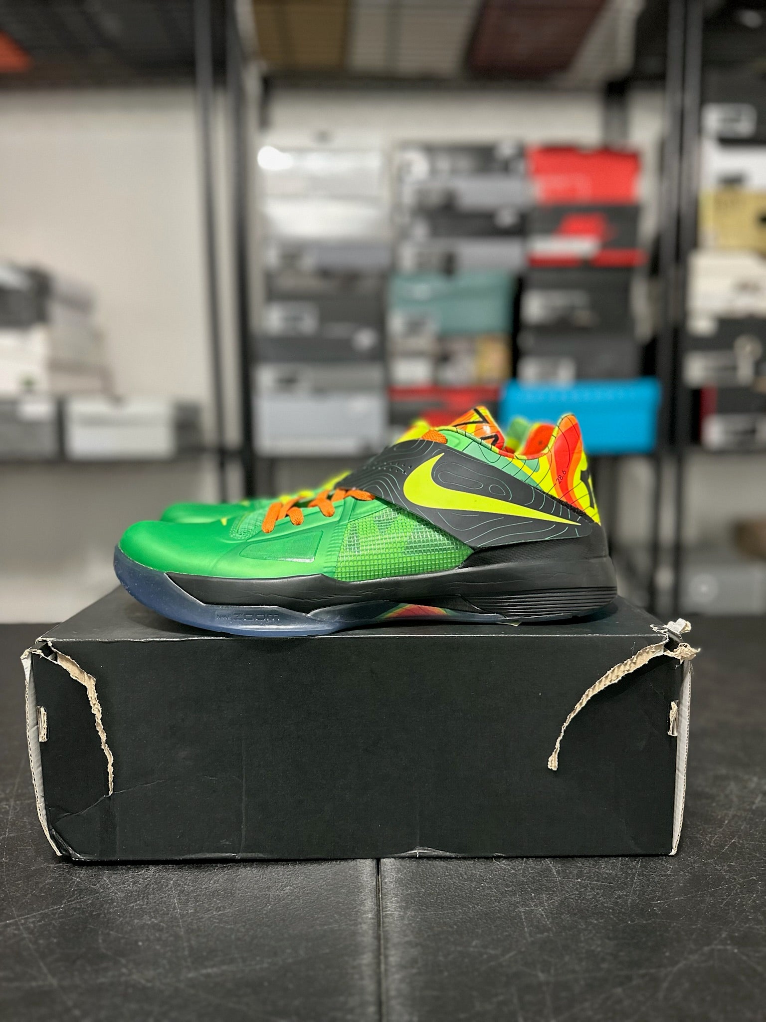 Size 12 - KD 4 Weatherman