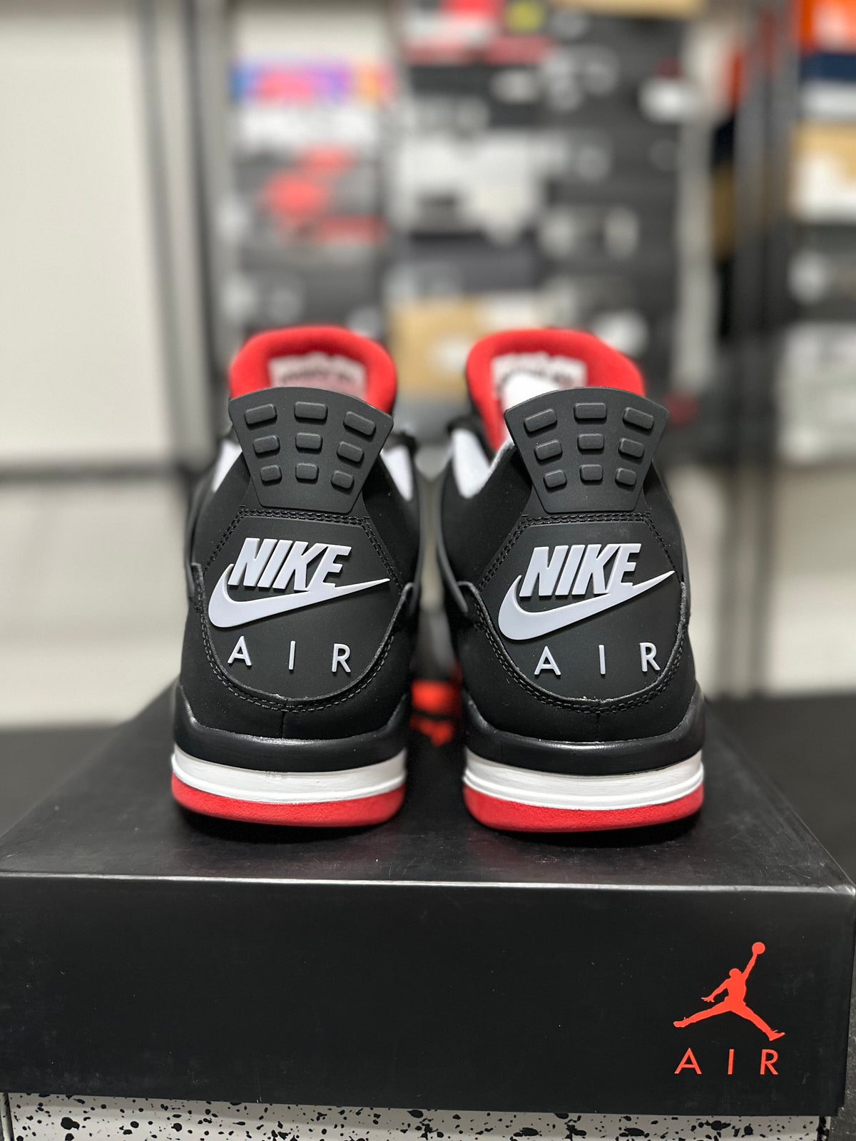Size 13 - J4 Bred 2019