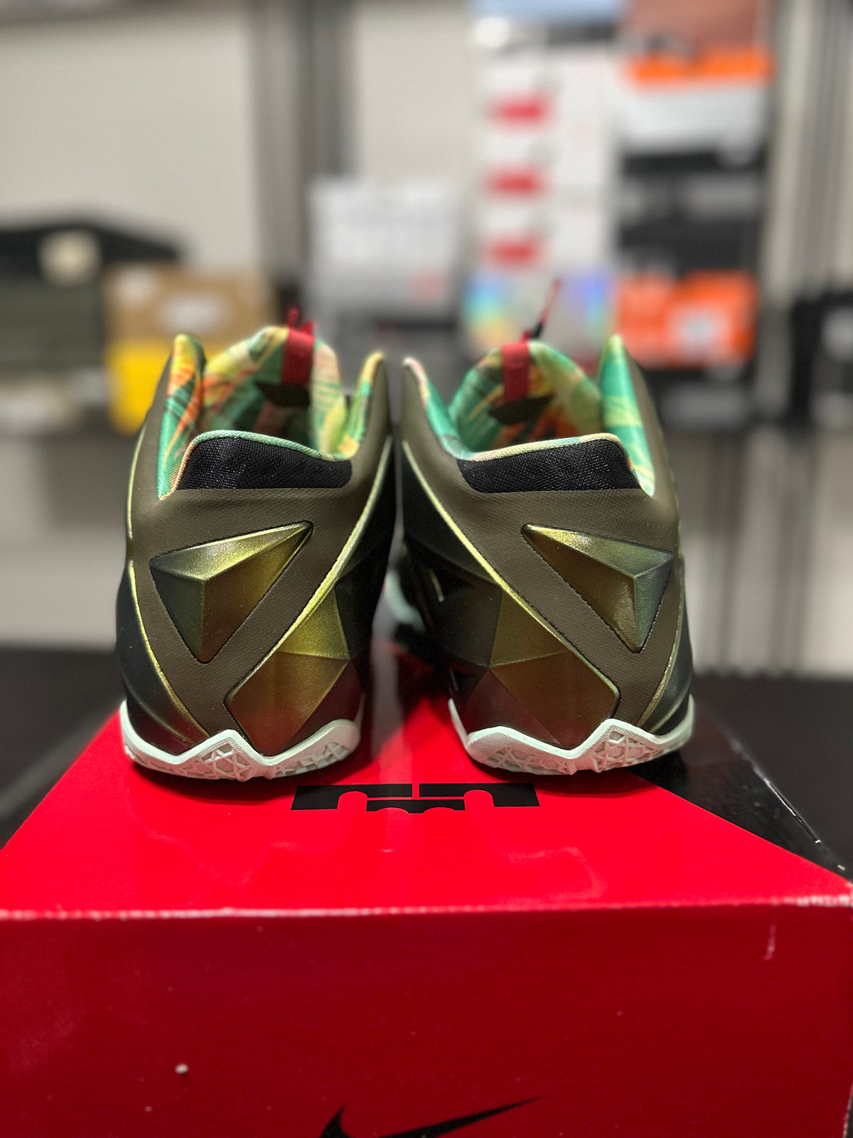 Size 10 - LeBron 11 kings pride