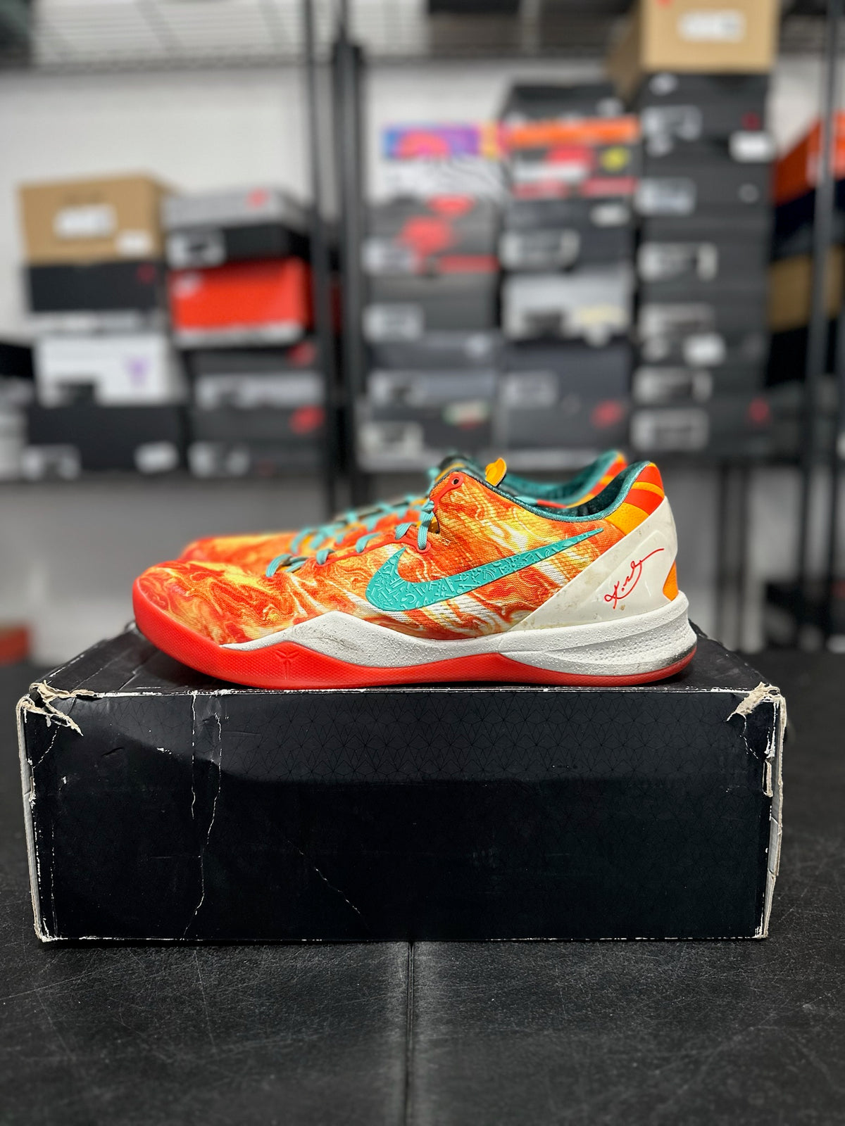 Size 13 - Kobe 8+ All Star Area 72