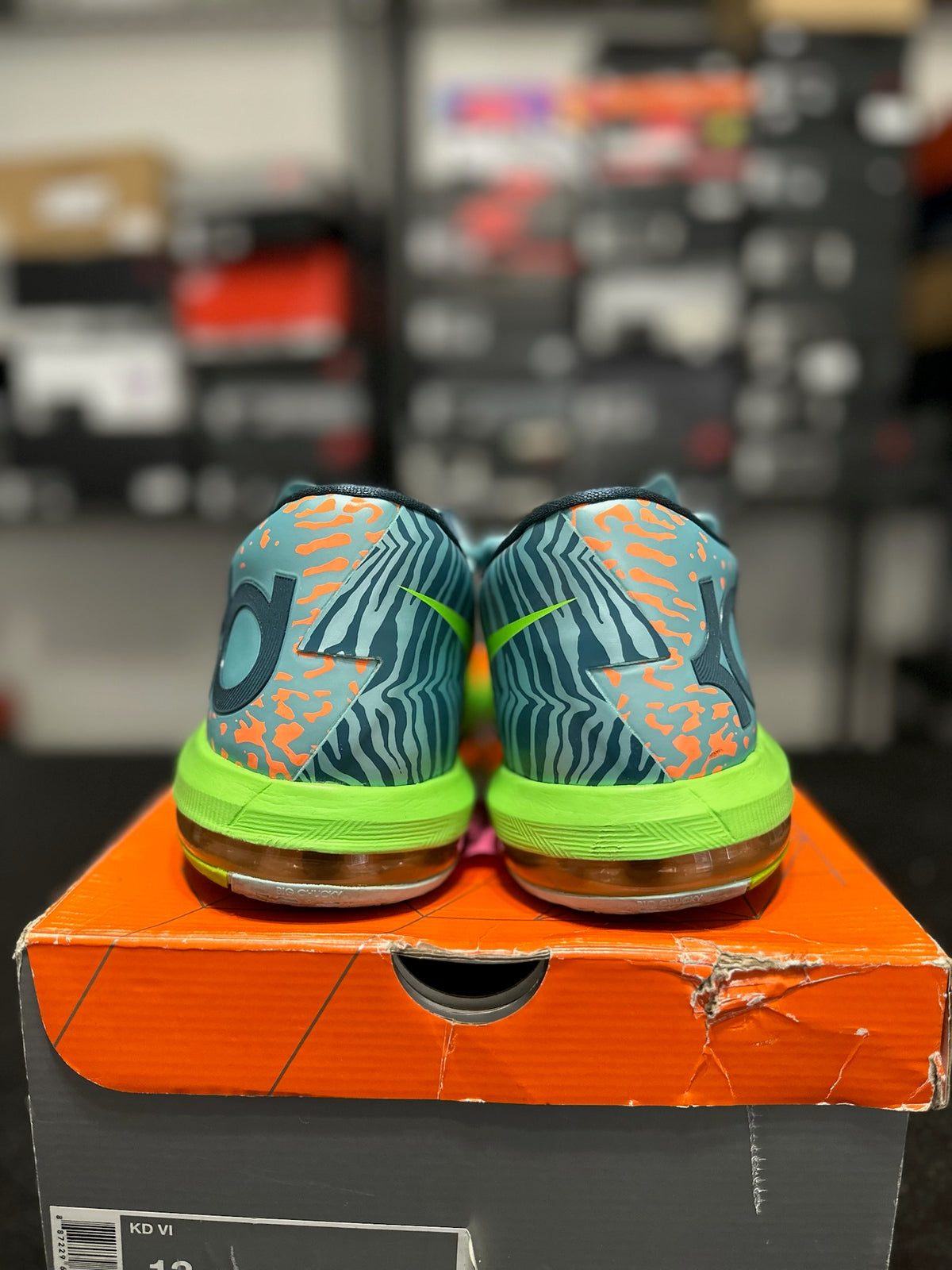 Size 13 - KD 6 Liger