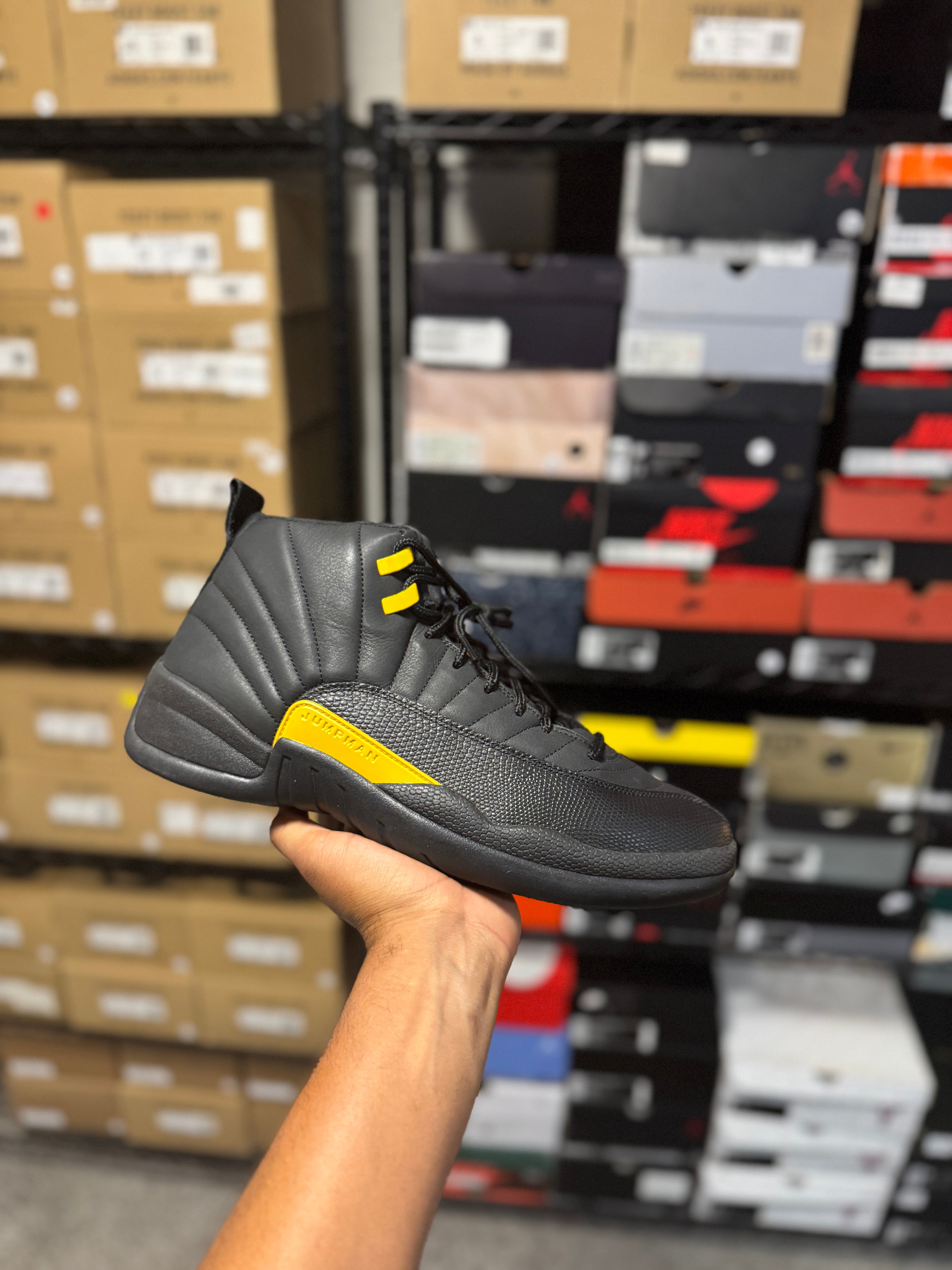 Size 13 - Jordan 12 Black Taxi