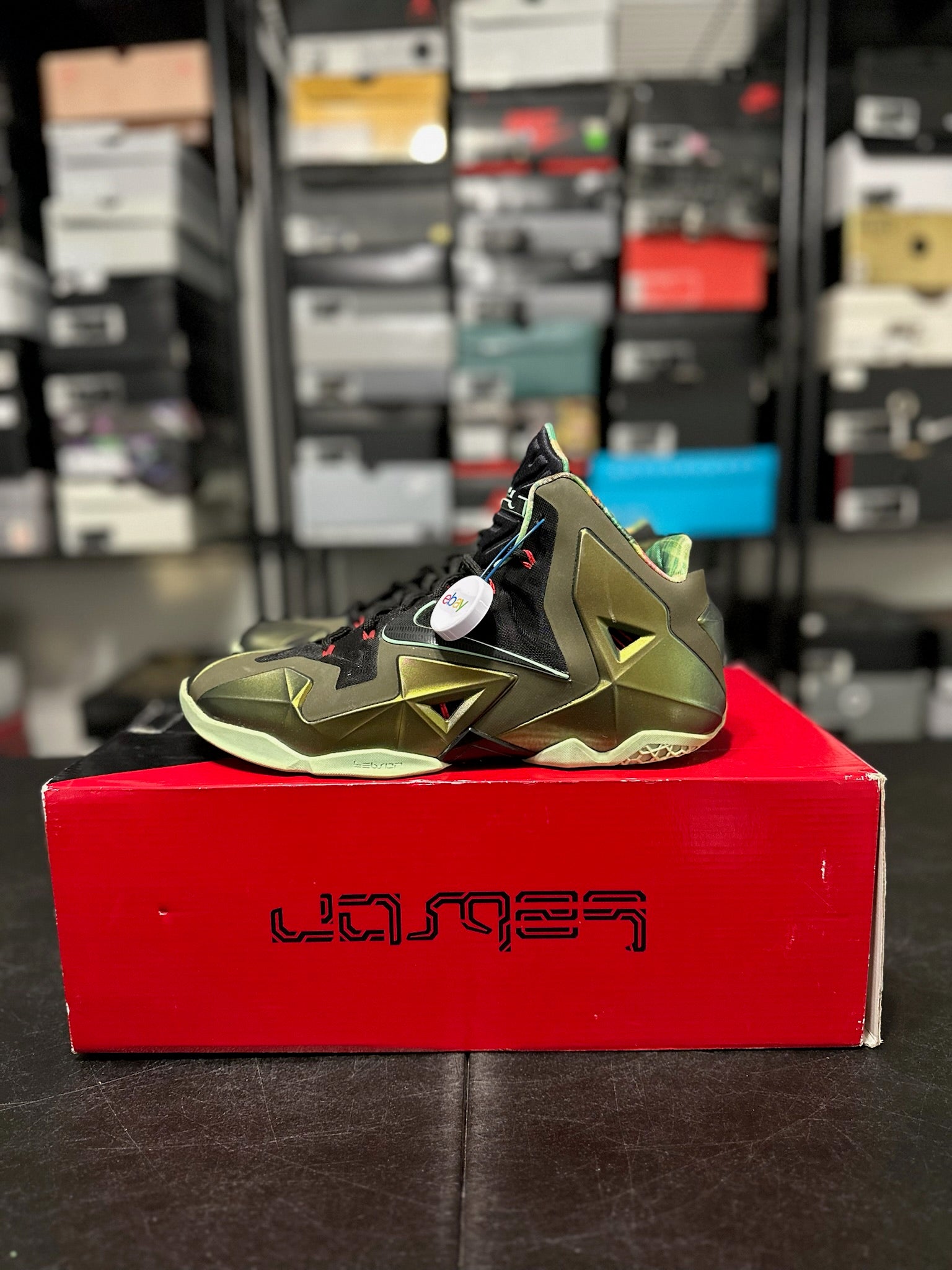 Size 9.5 - LeBron 11 Kings Pride
