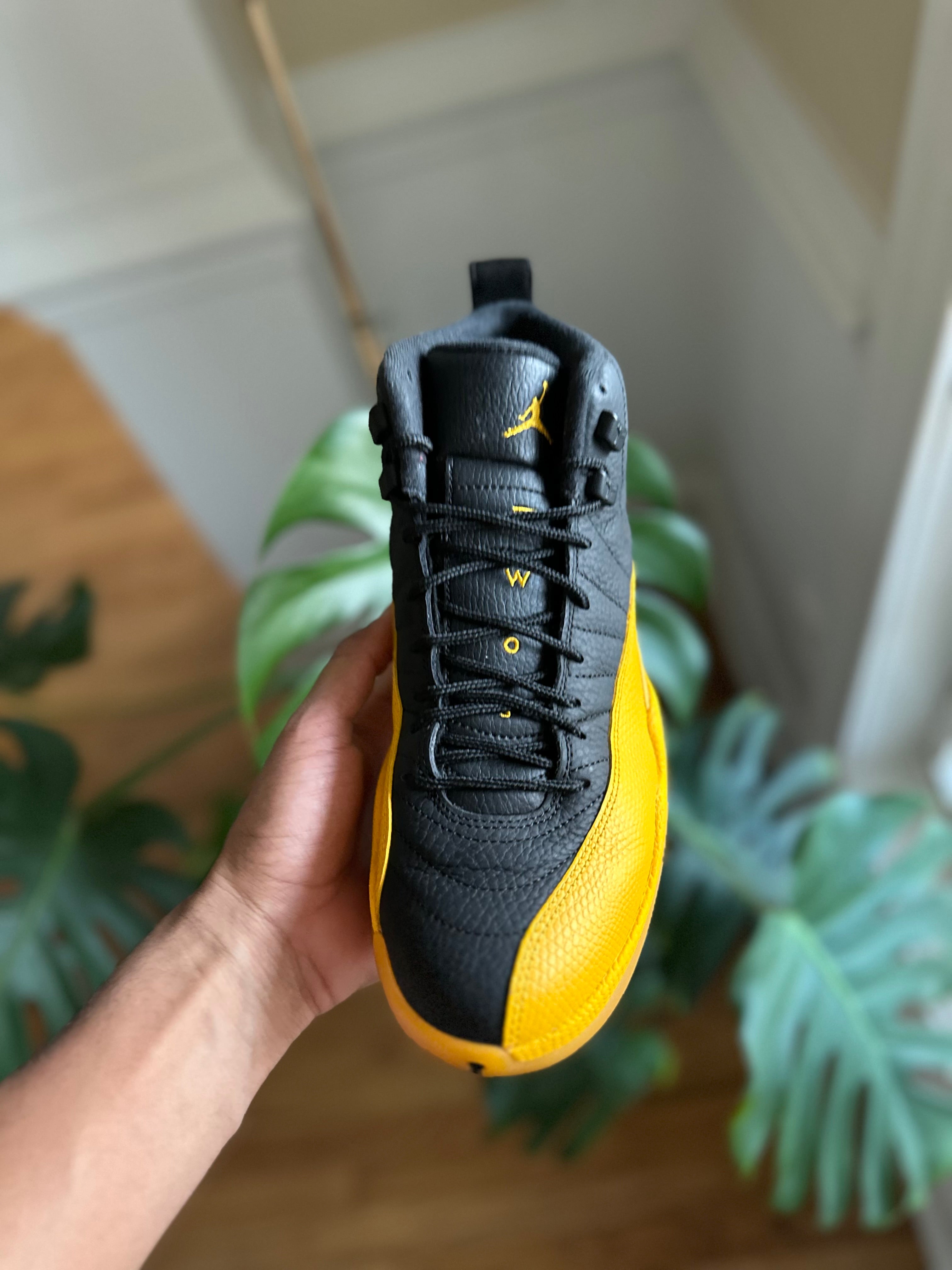 Size 8 - J12 university gold