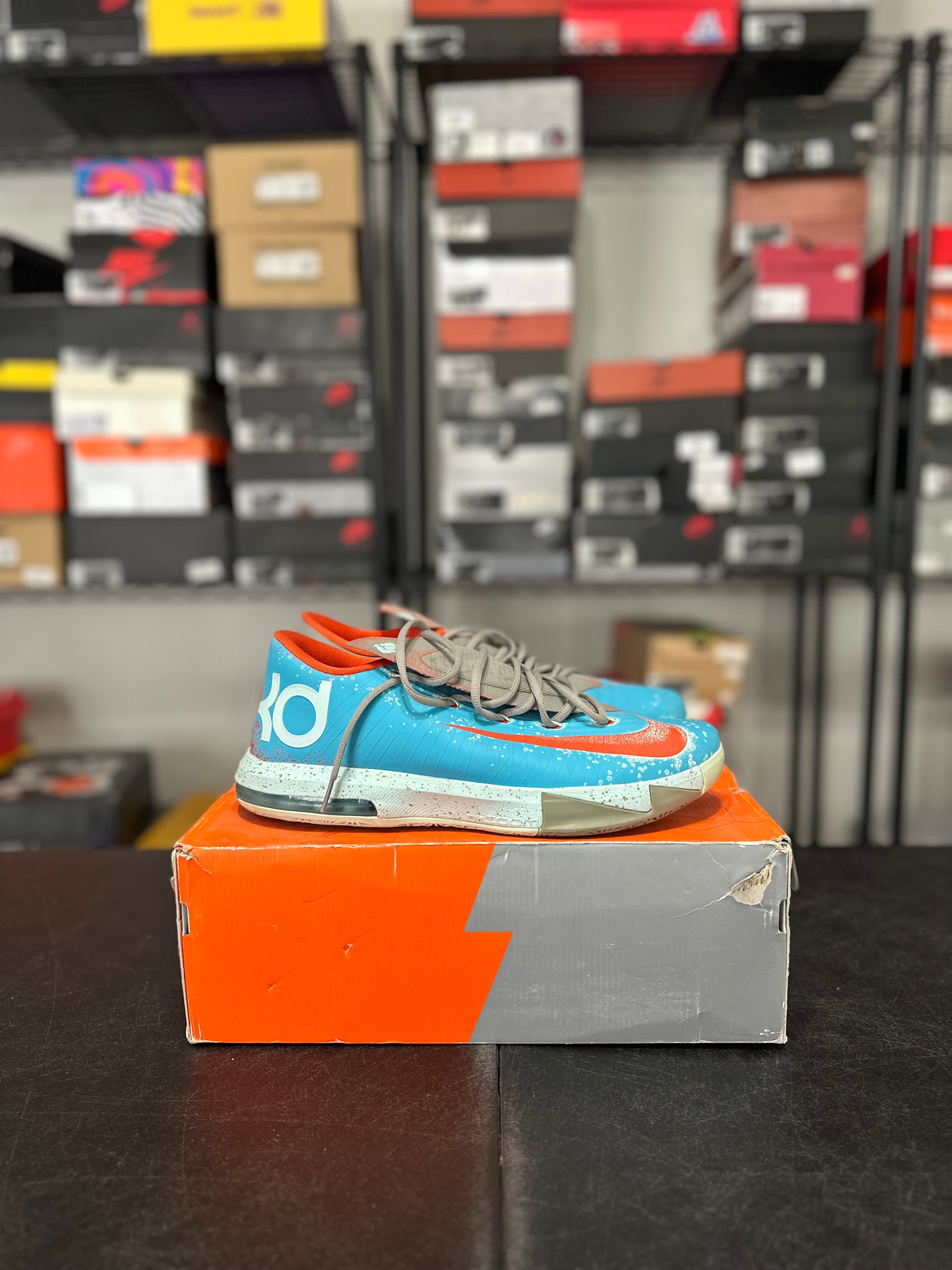 Size 12 - KD 6 Maryland blue crab
