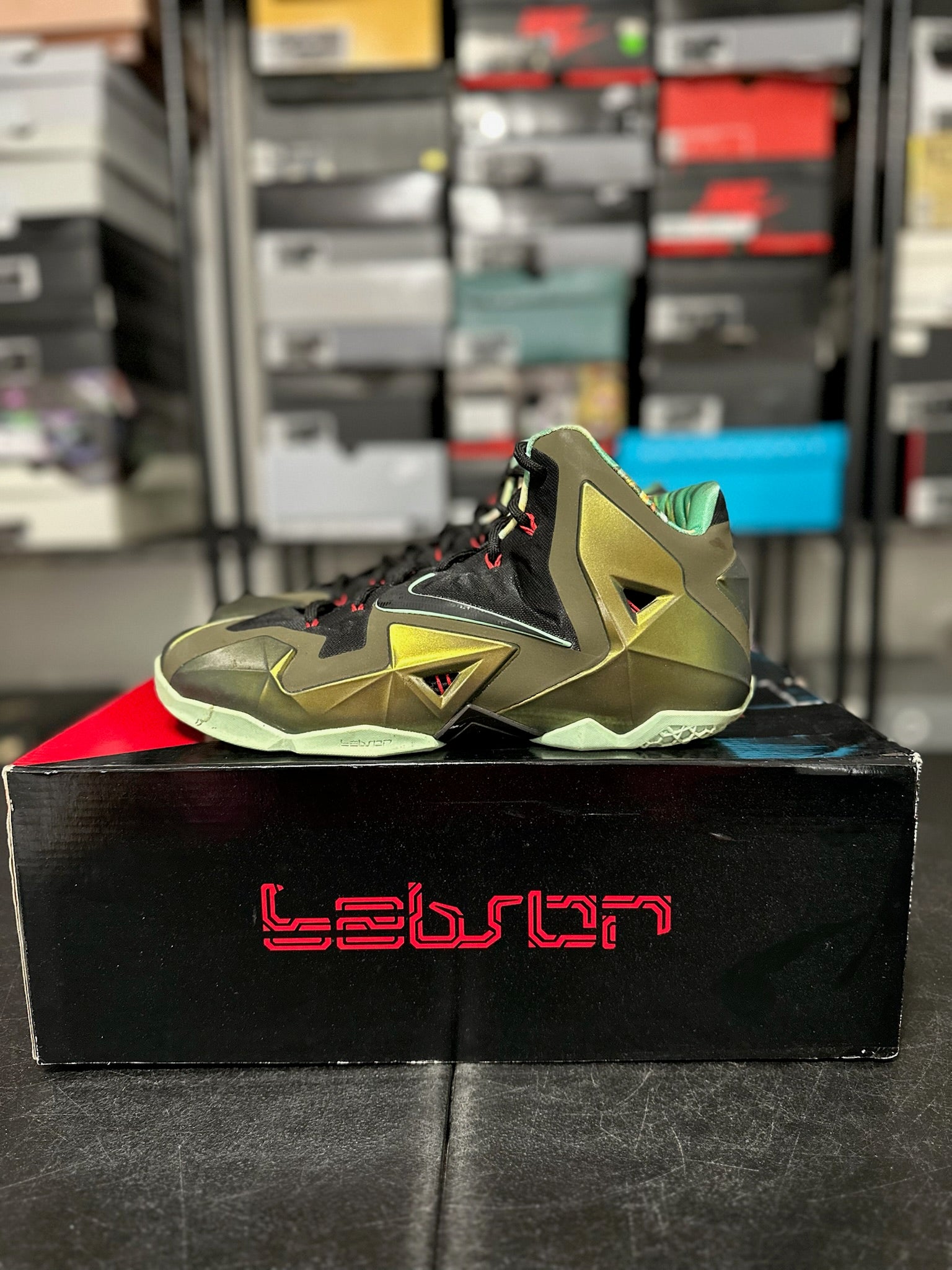 Size 10.5 - LeBron 11 King’s Pride