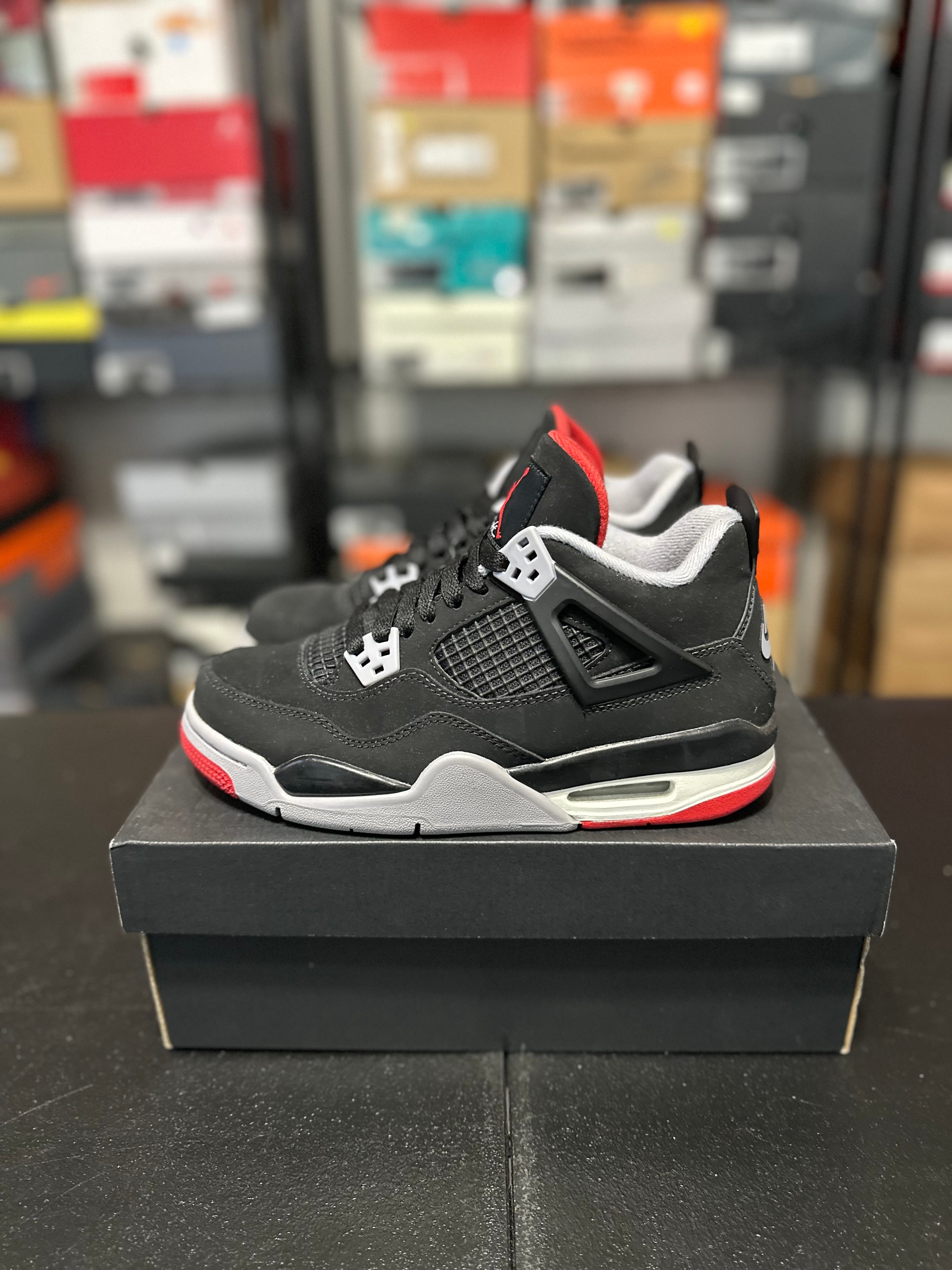 Size 5y - J4 bred 2019