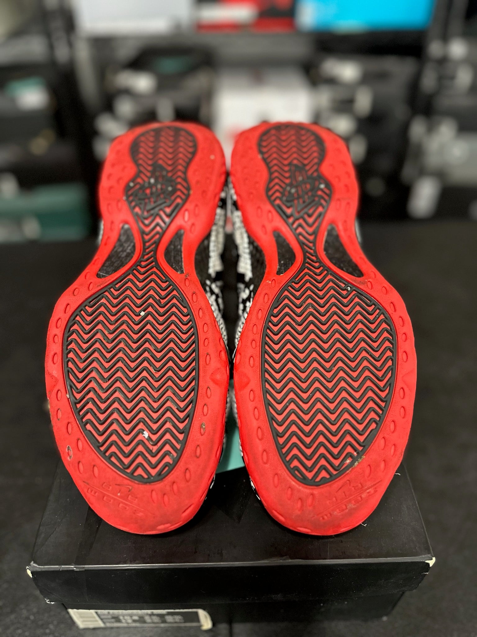 Size 10.5 - Foamposite 1 Albino Snakeskin