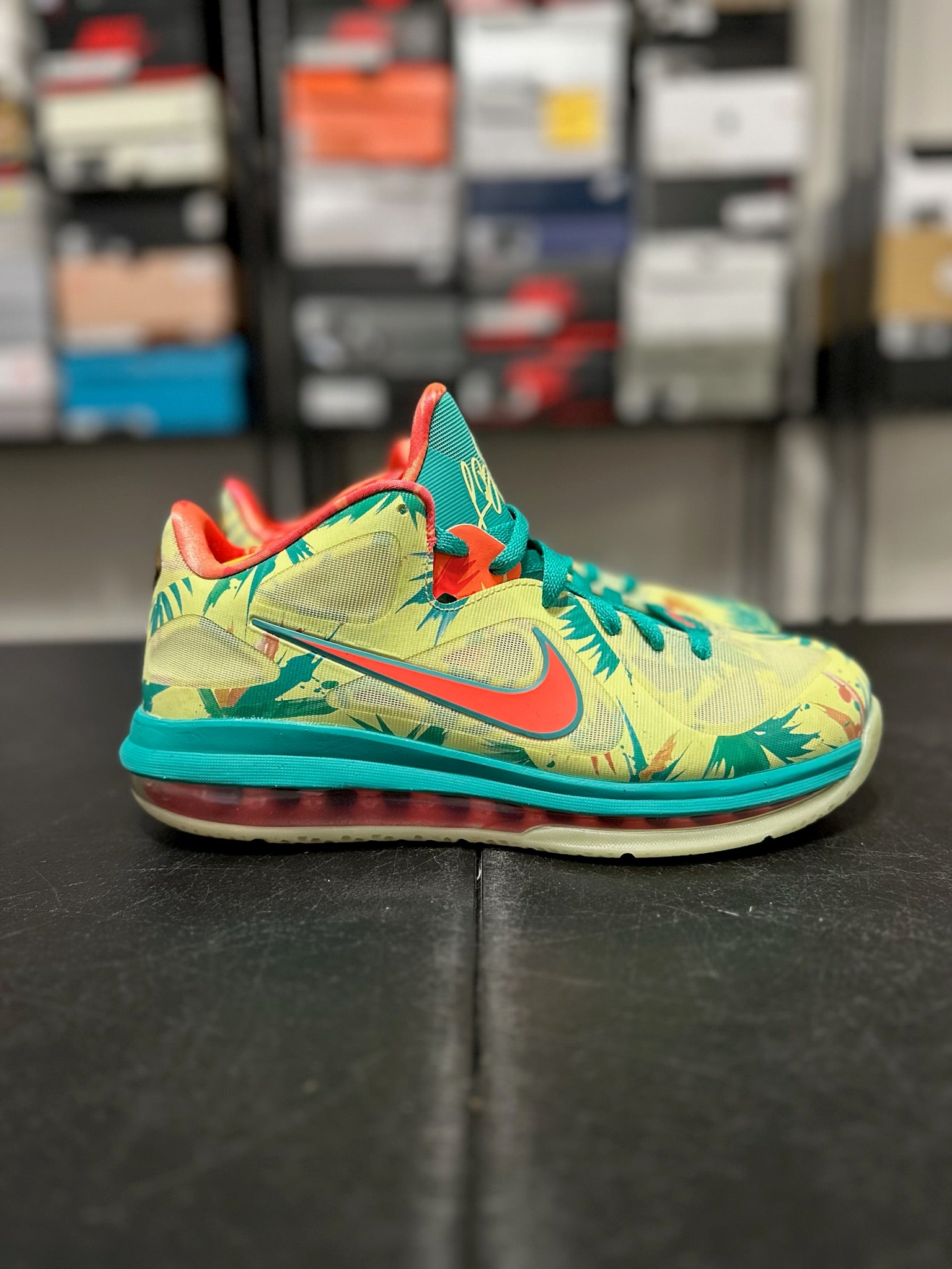 Size 9 - LeBron 9 Low LeBronald Palmer