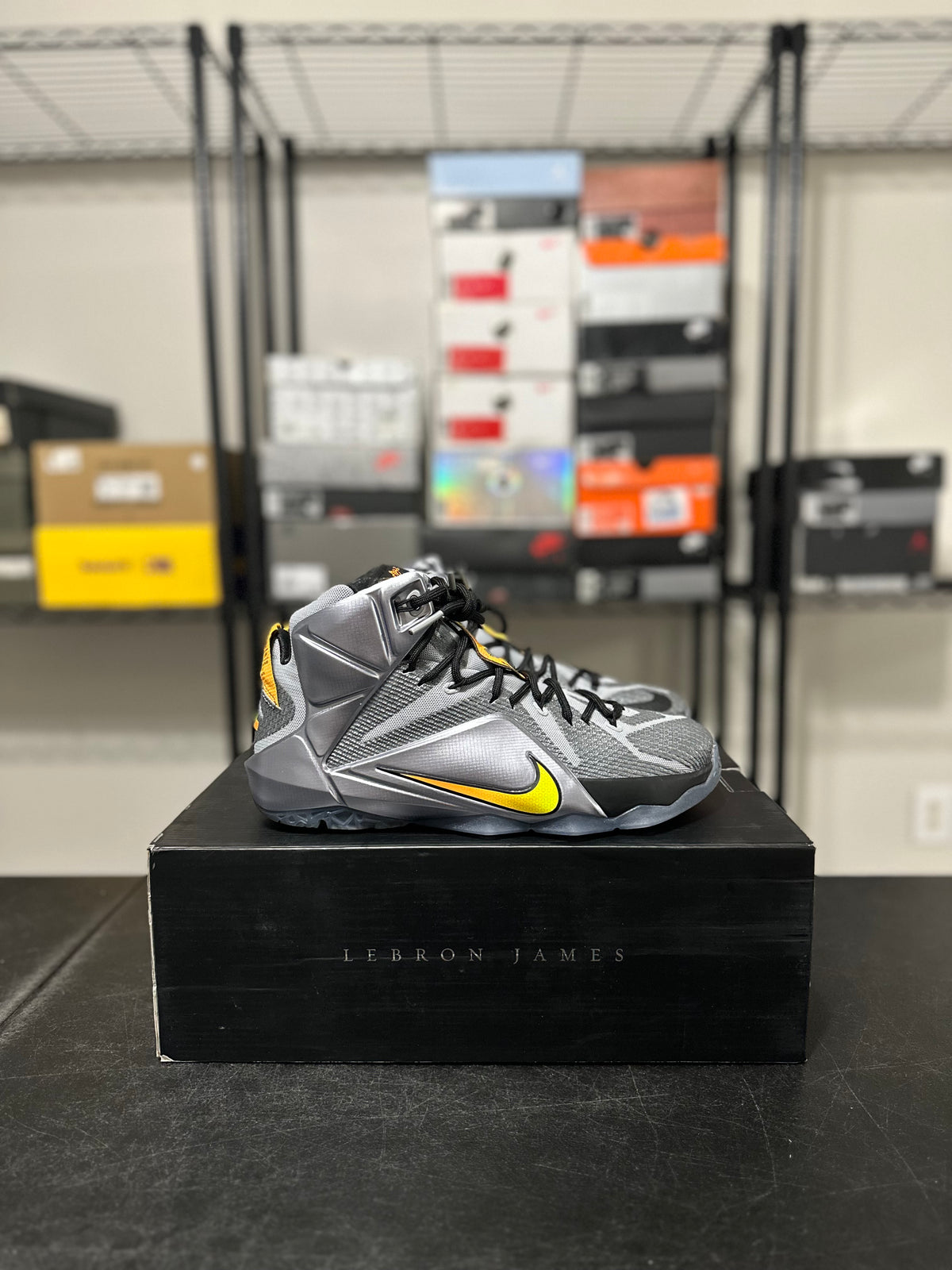 Size 10 - Lebron 12 Flight