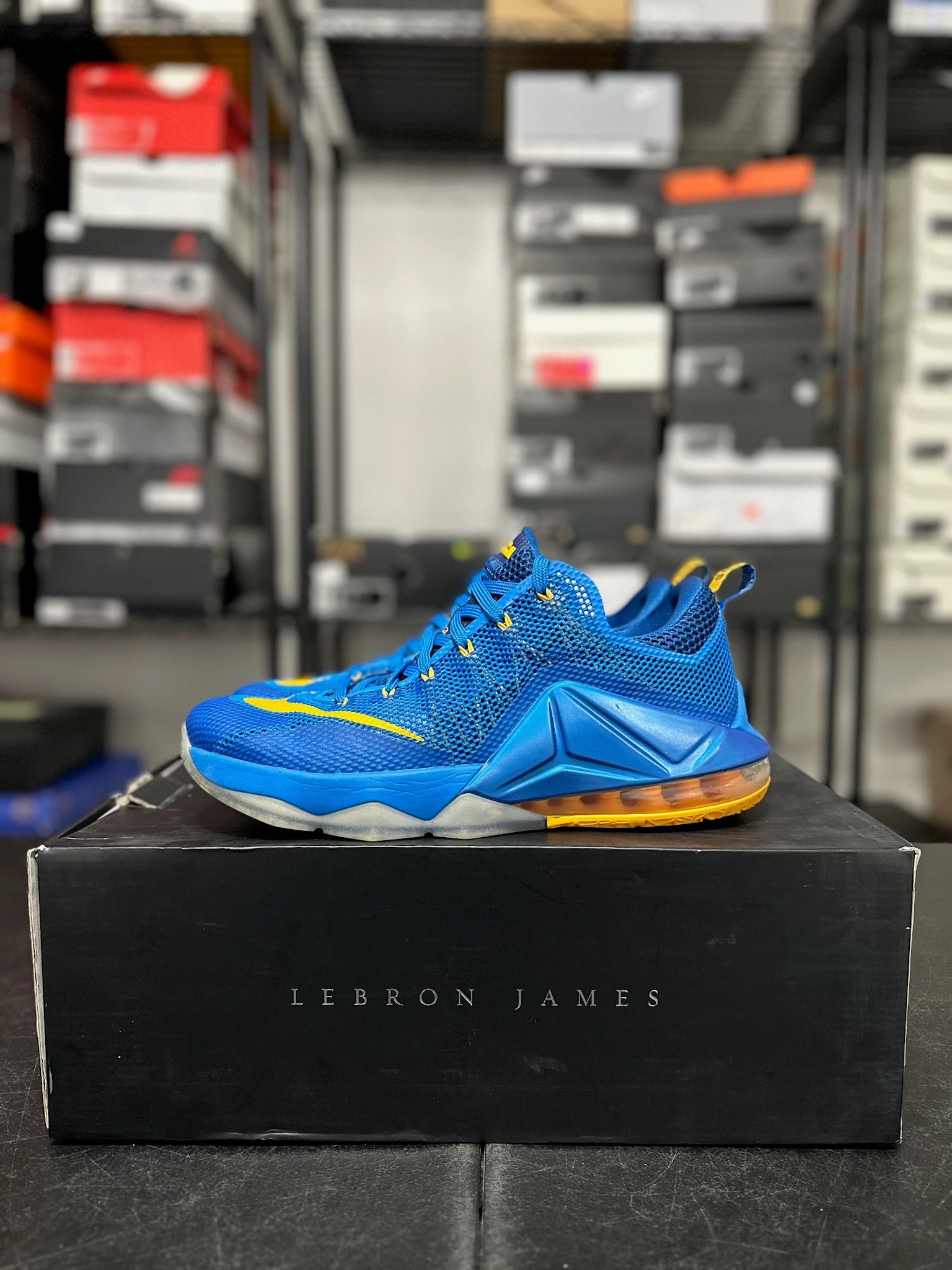Size 11 - LeBron 12 Low Entourage