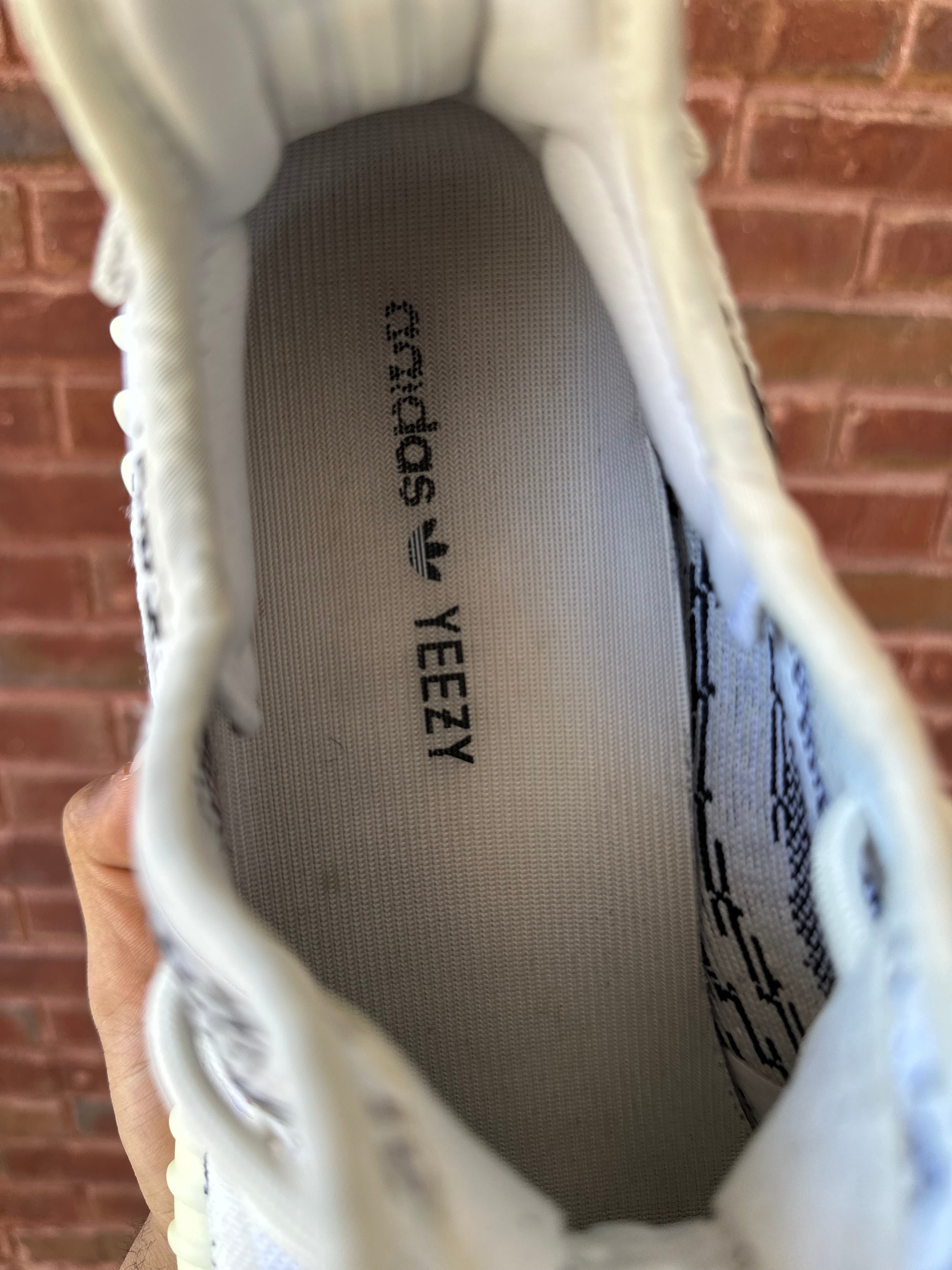 Size 12 - YZY 350 Zebra