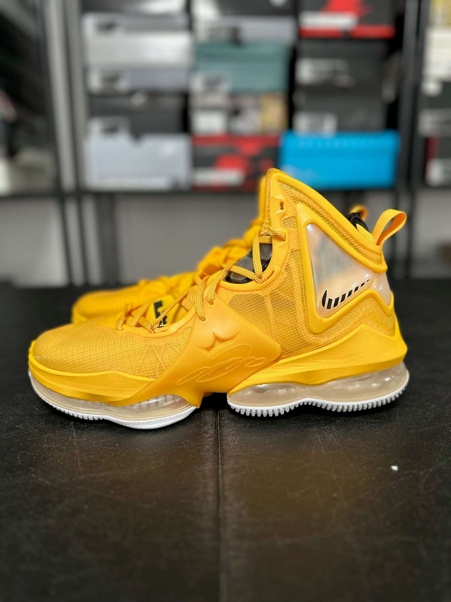 Size 11 - LeBron 19 Hard Hat
